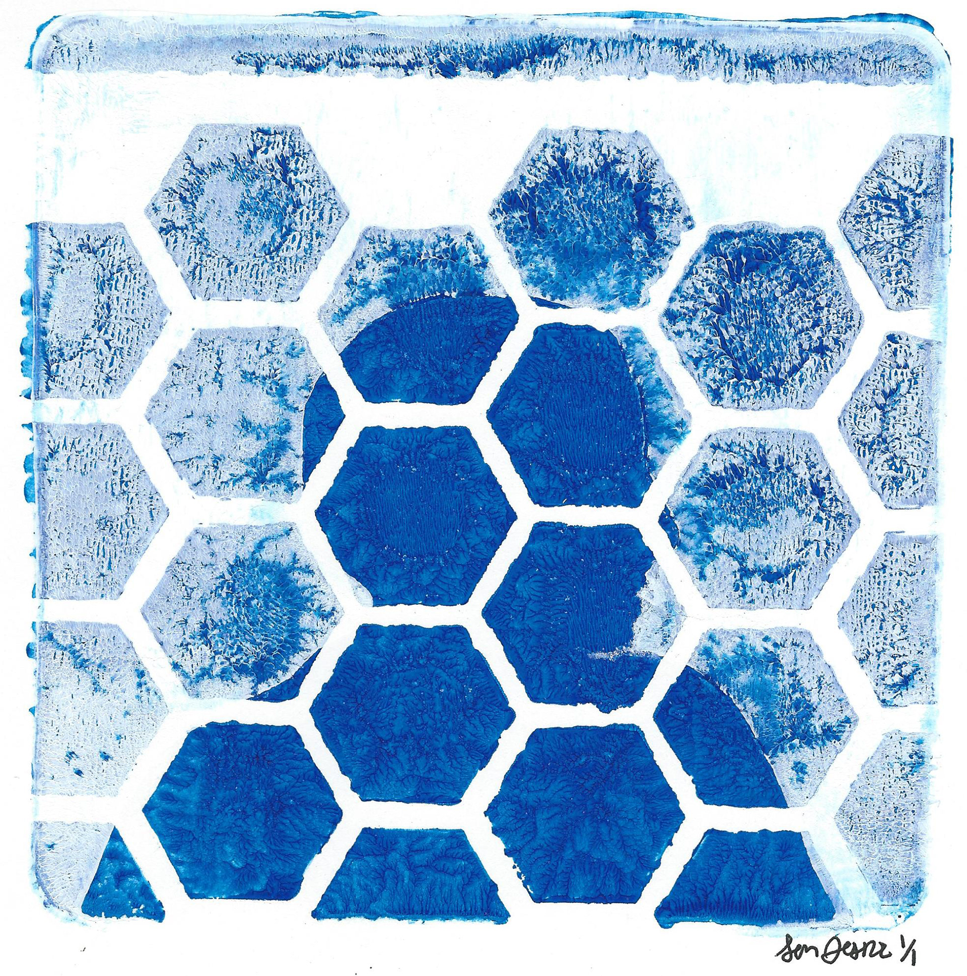 Honeycomb Silhouette