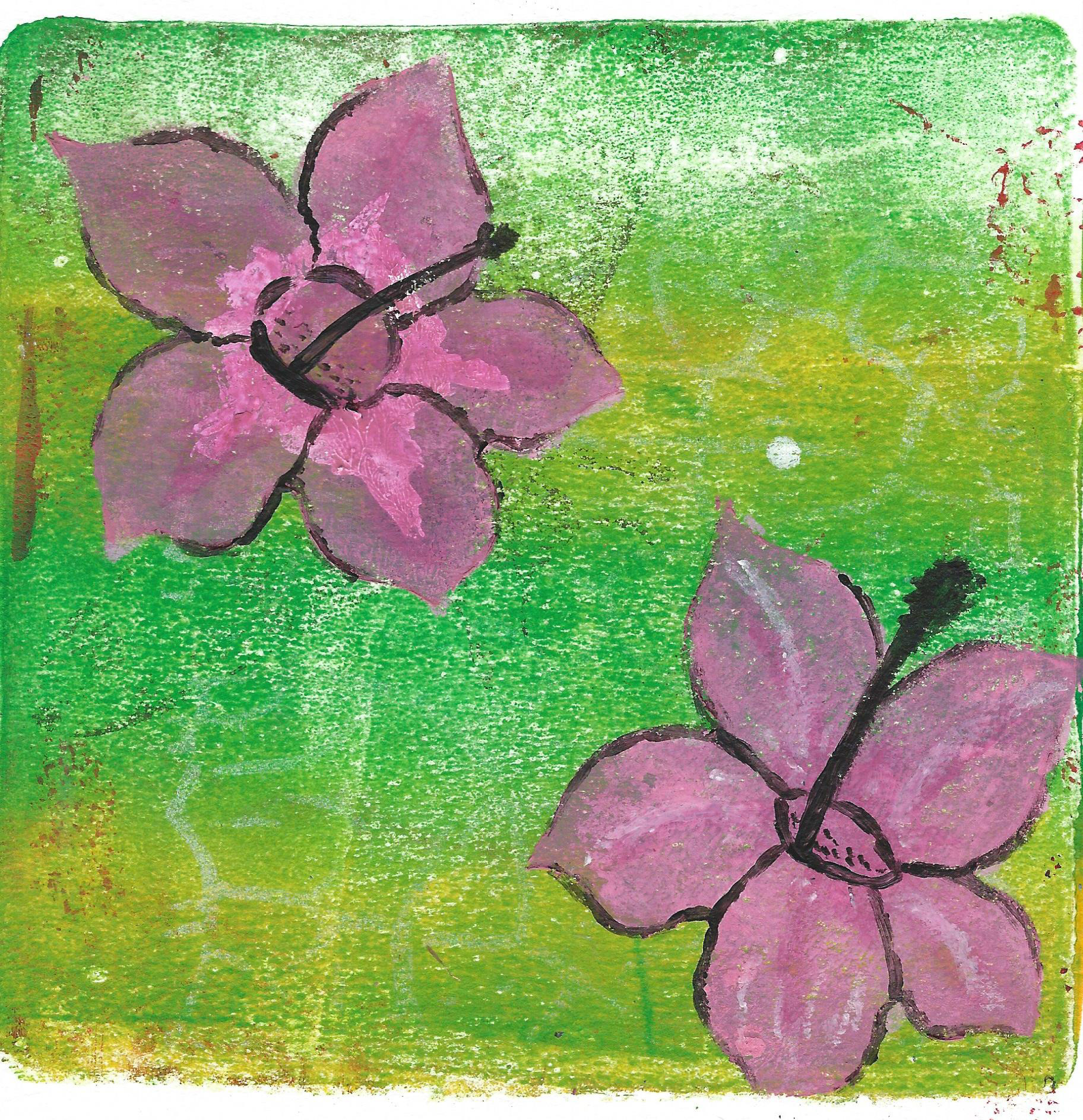 Hibiscus