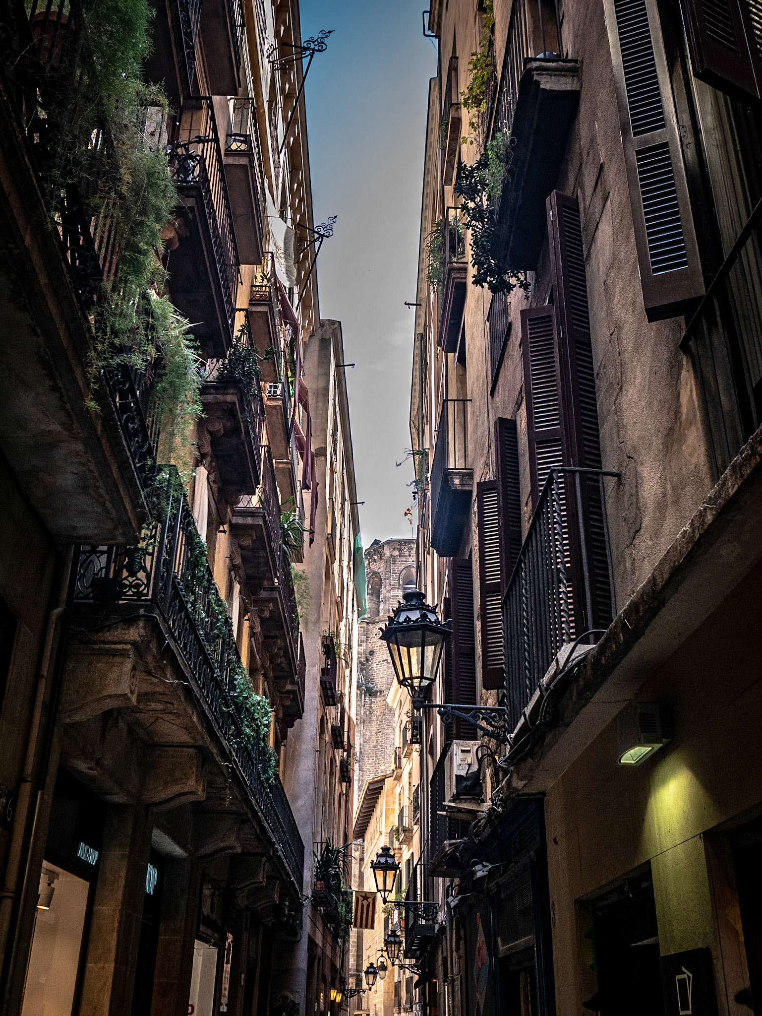 Cercavila Gegants Barri Gòtic