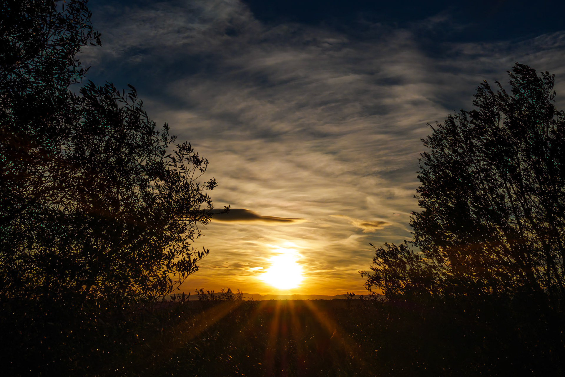 Posta de Sol
