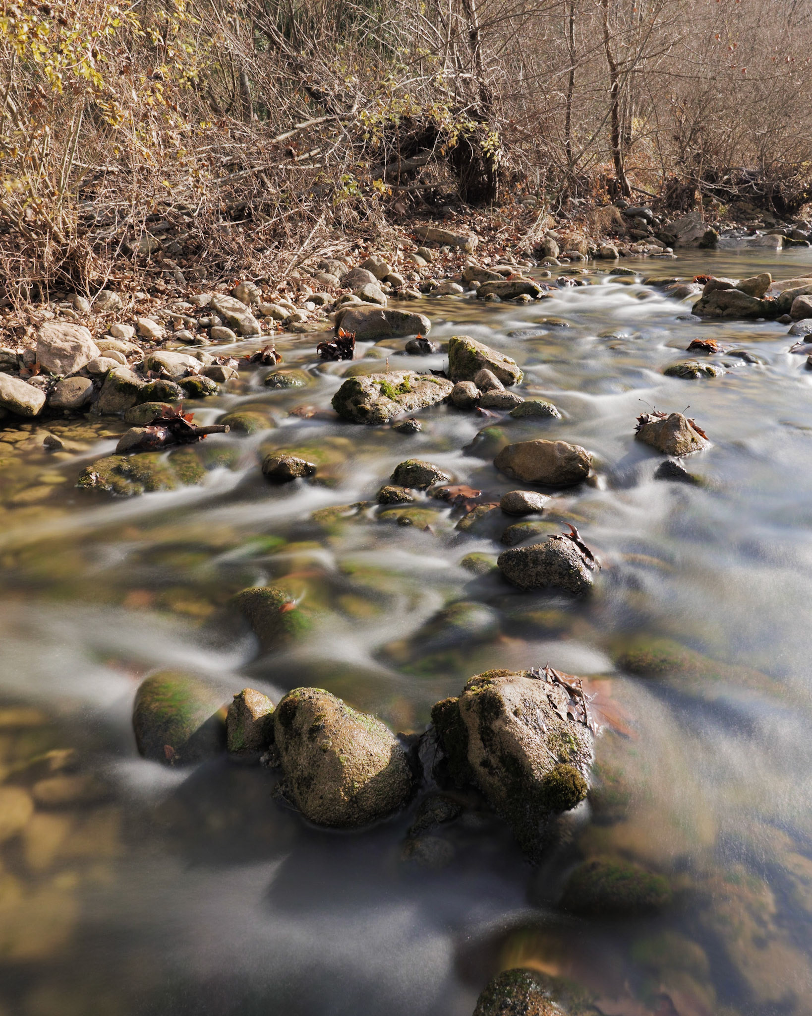 Sant Llorenç de la Muga