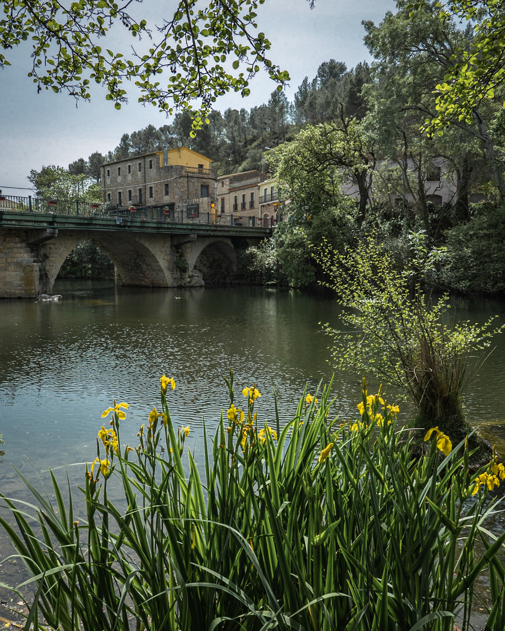 Pont de Molins