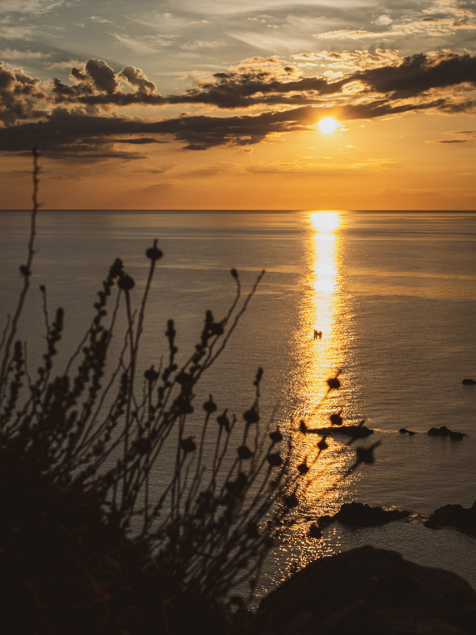 Cap de Ras · Llançà