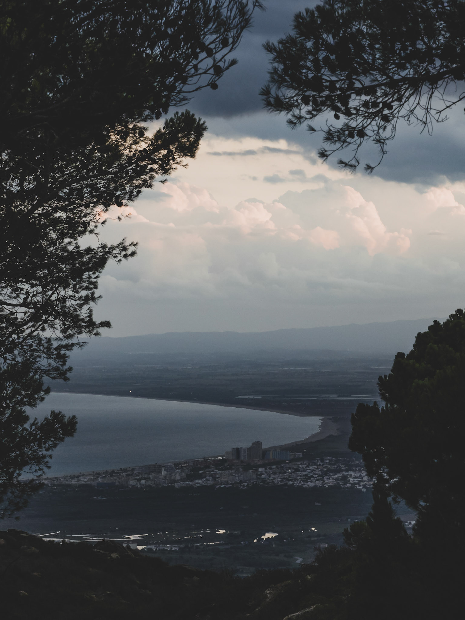 Tardes d'Estiu