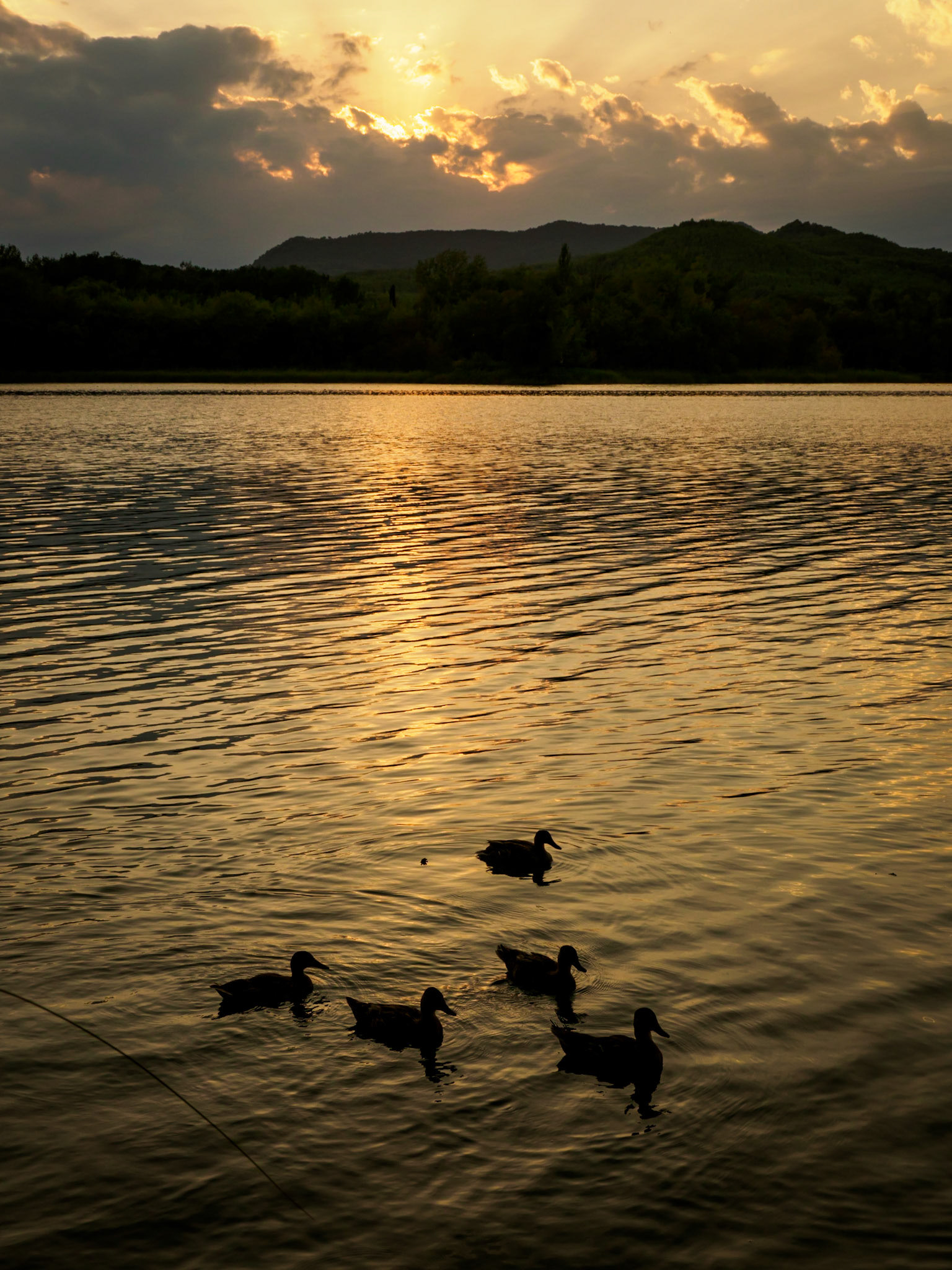 Tarda d'Estiu a Banyoles