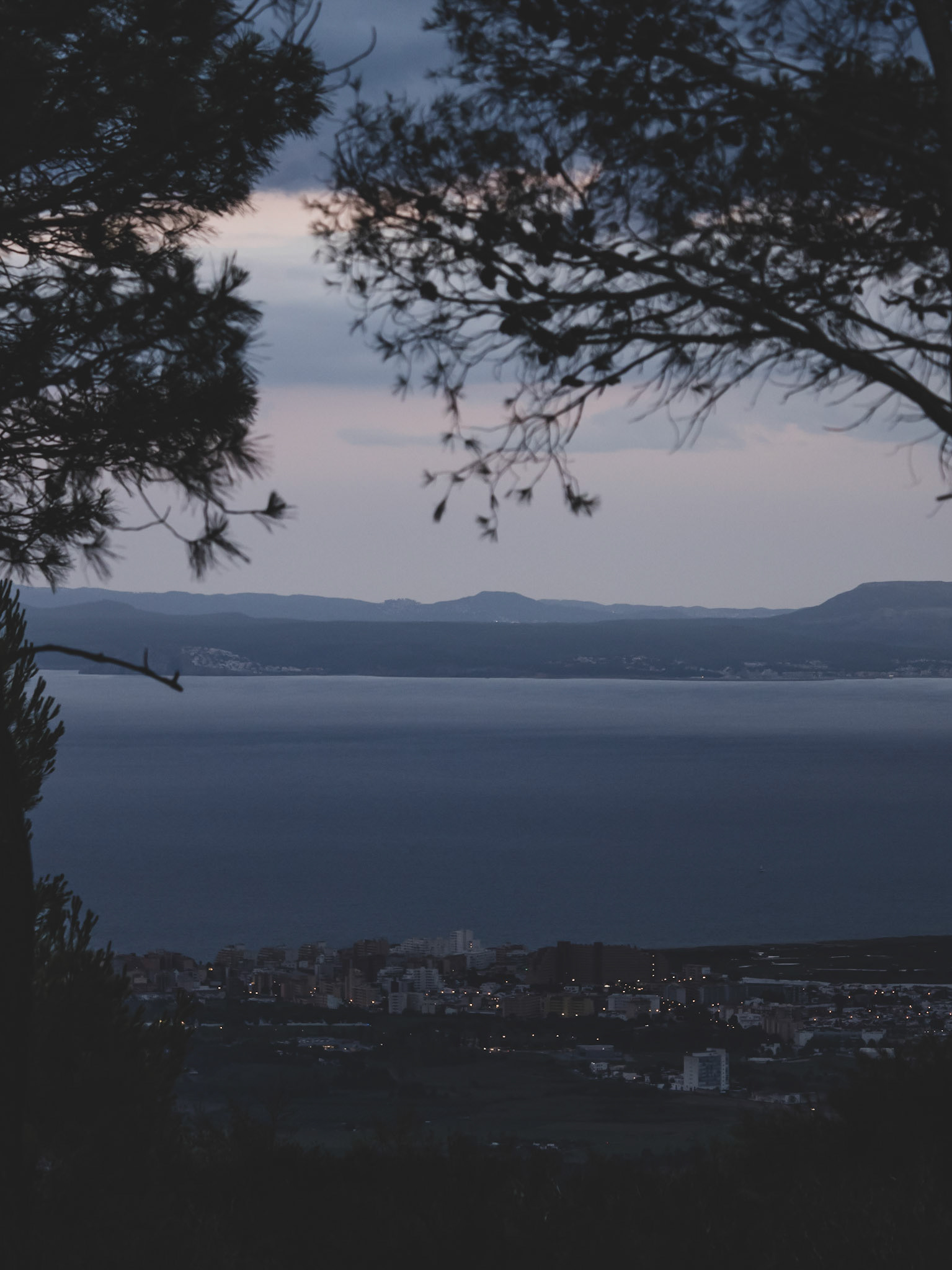 Tardes d'Estiu