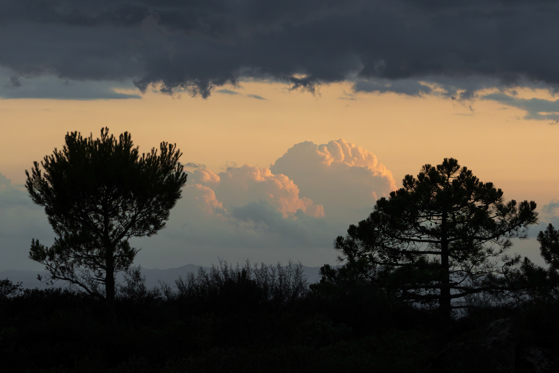 Tardes d'Estiu