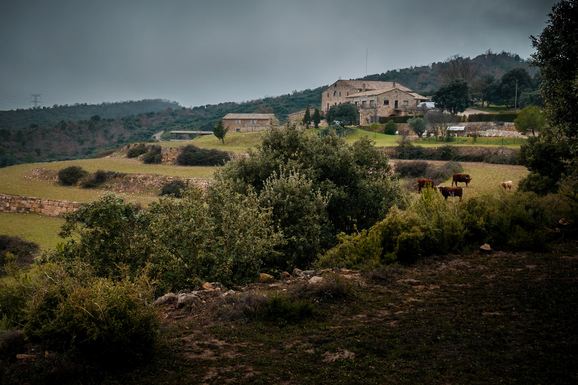 La Masia