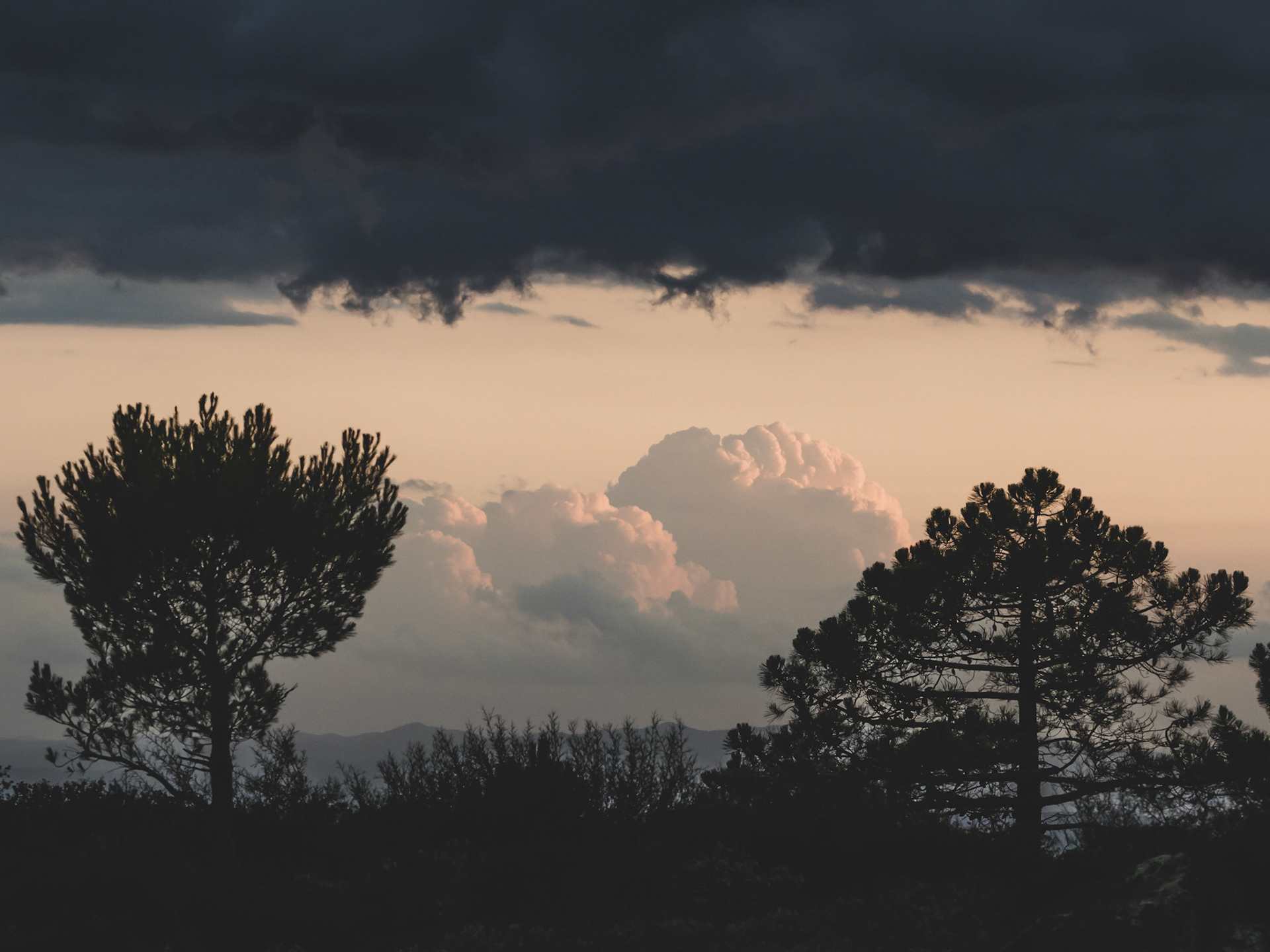Tardes d'Estiu