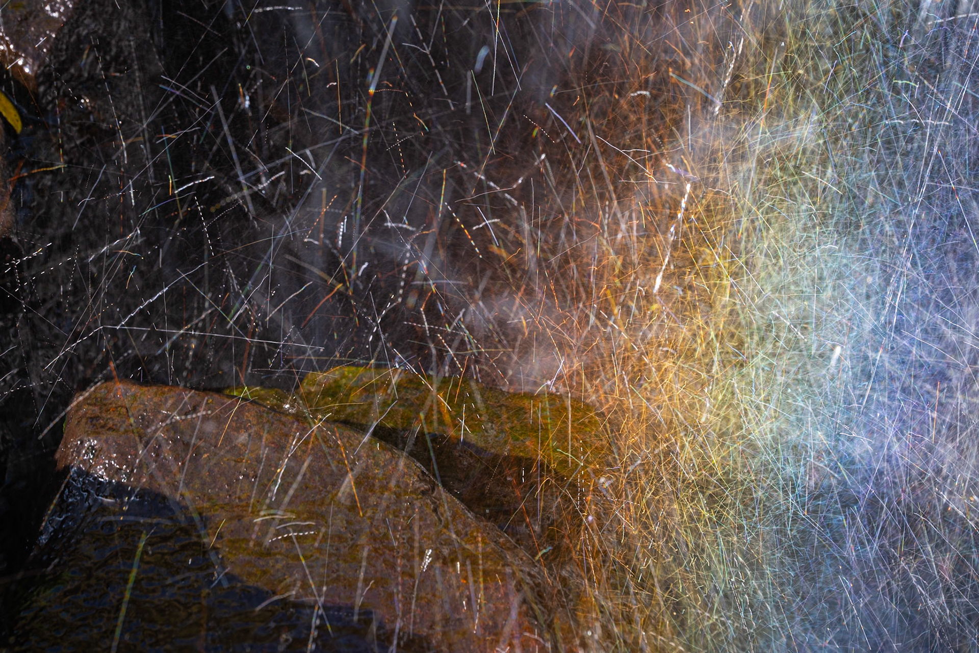 Fotografia Creativa al Montseny