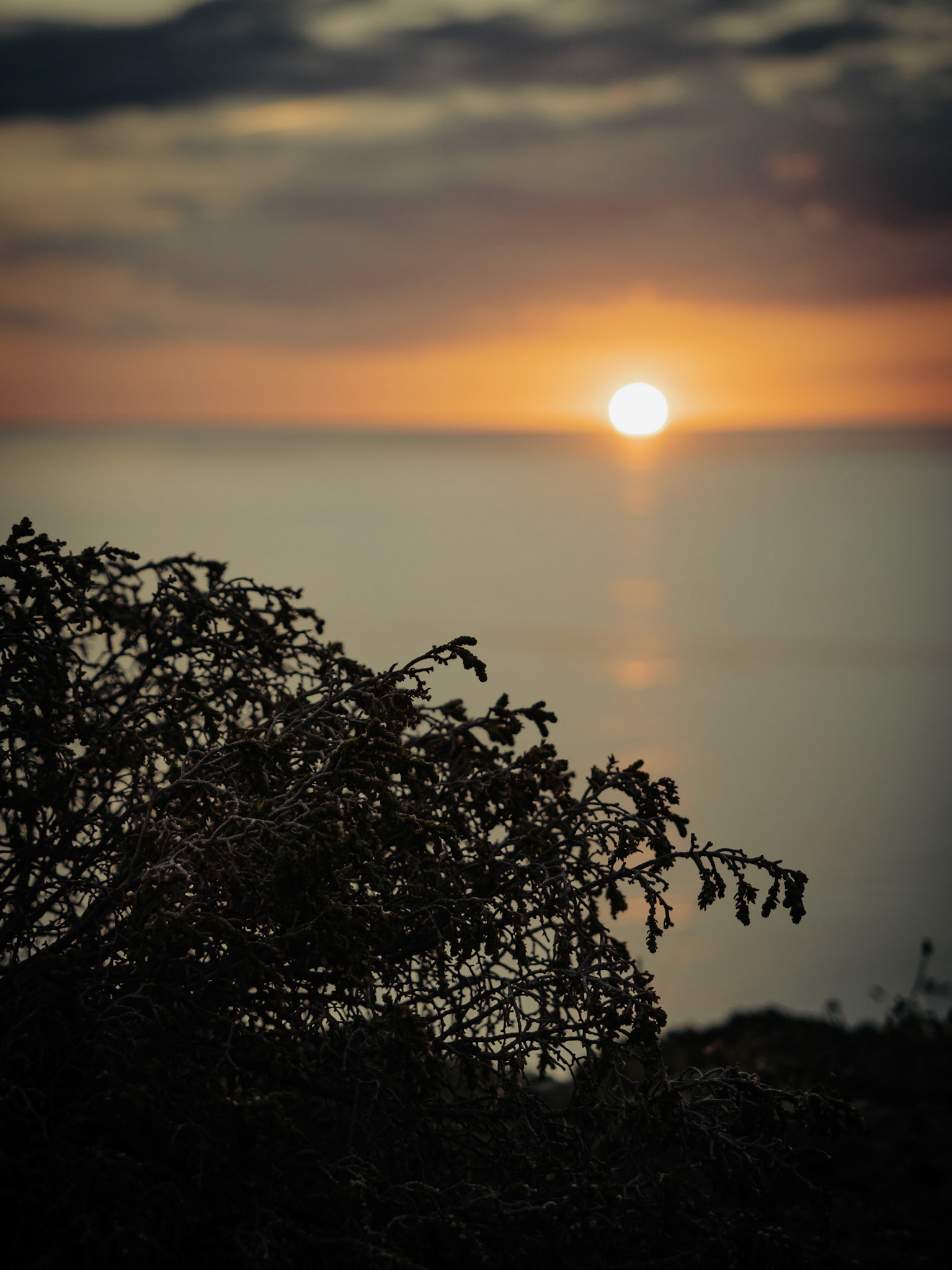 Cap de Ras · Llançà
