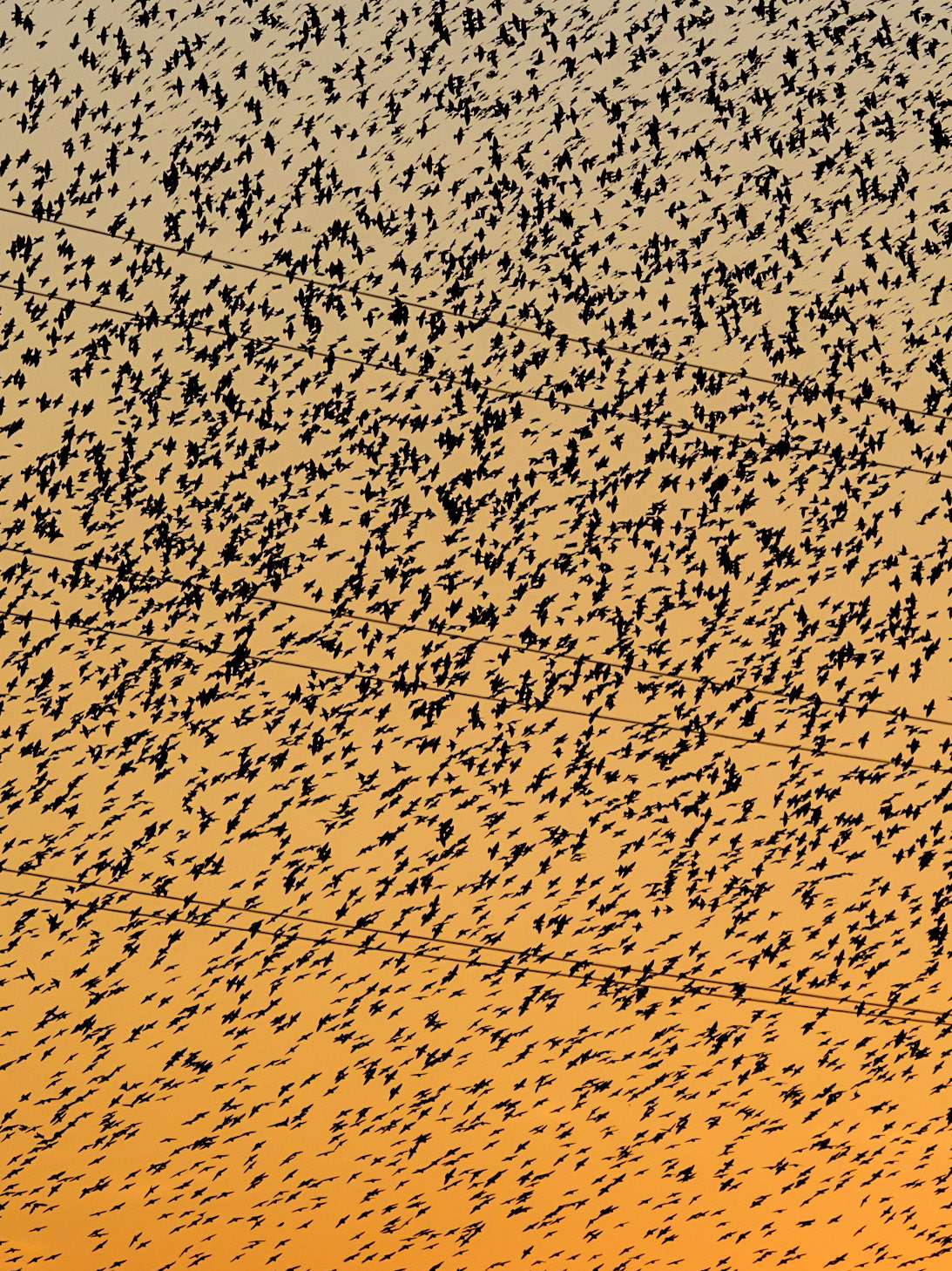 Estornells · Alt Empordà