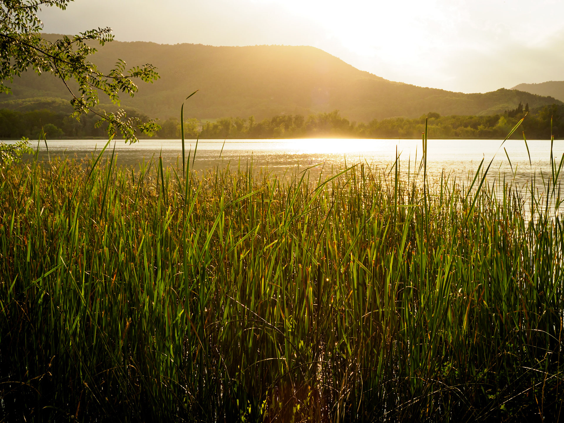 Tarda d'Estiu a Banyoles