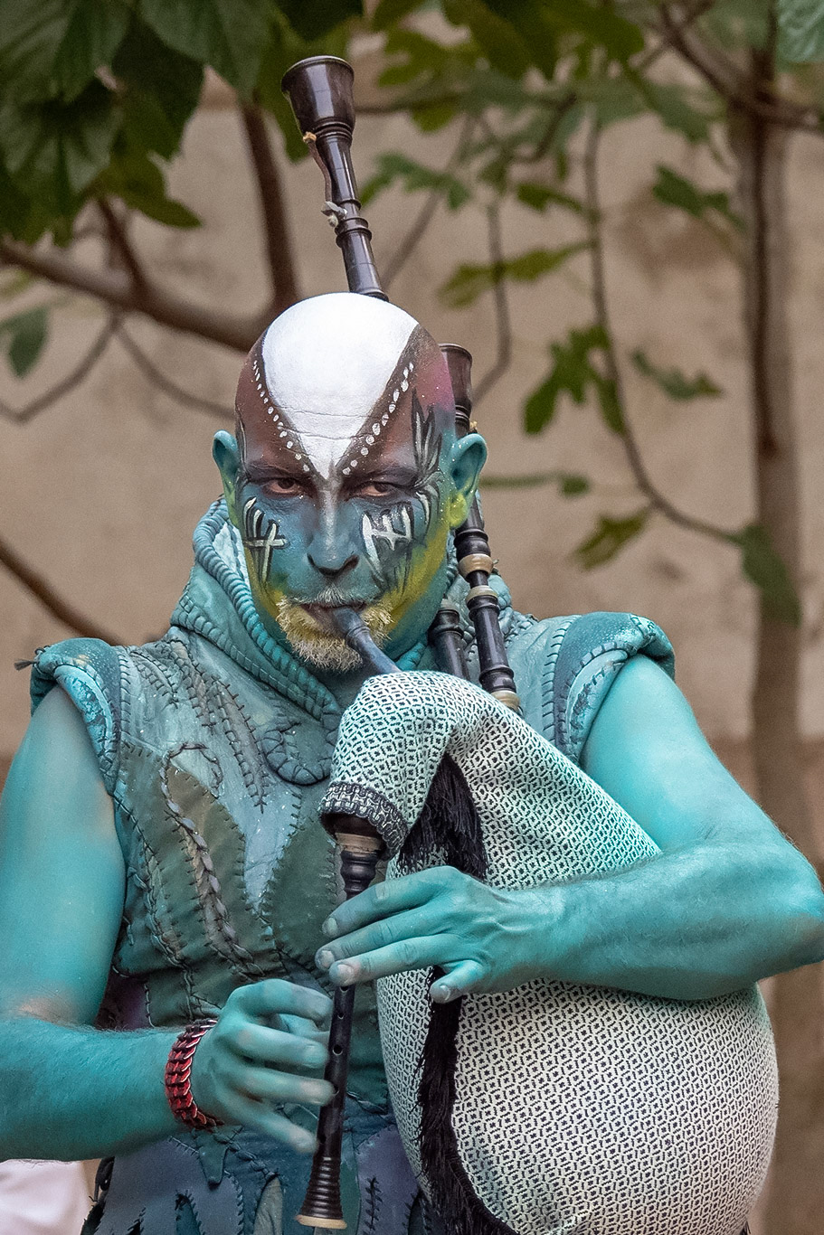 Terra de Trobadors 2018