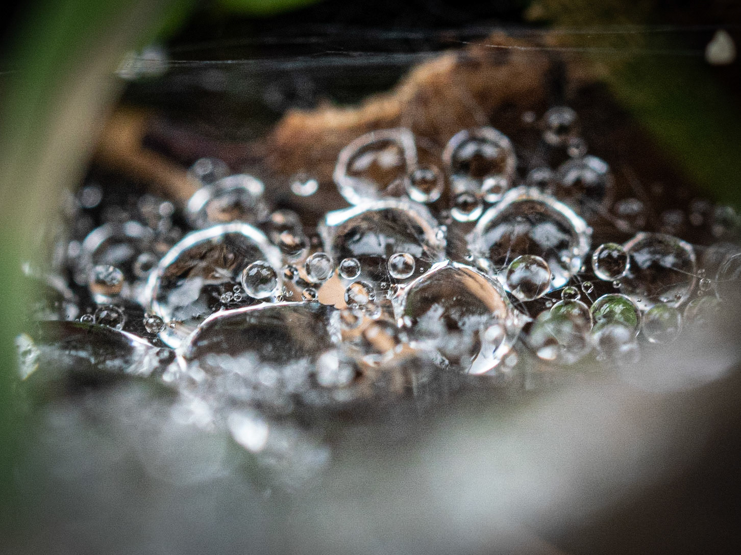 Macro