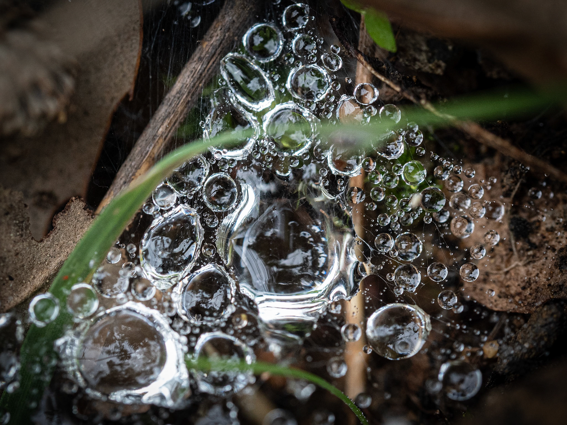 Macro