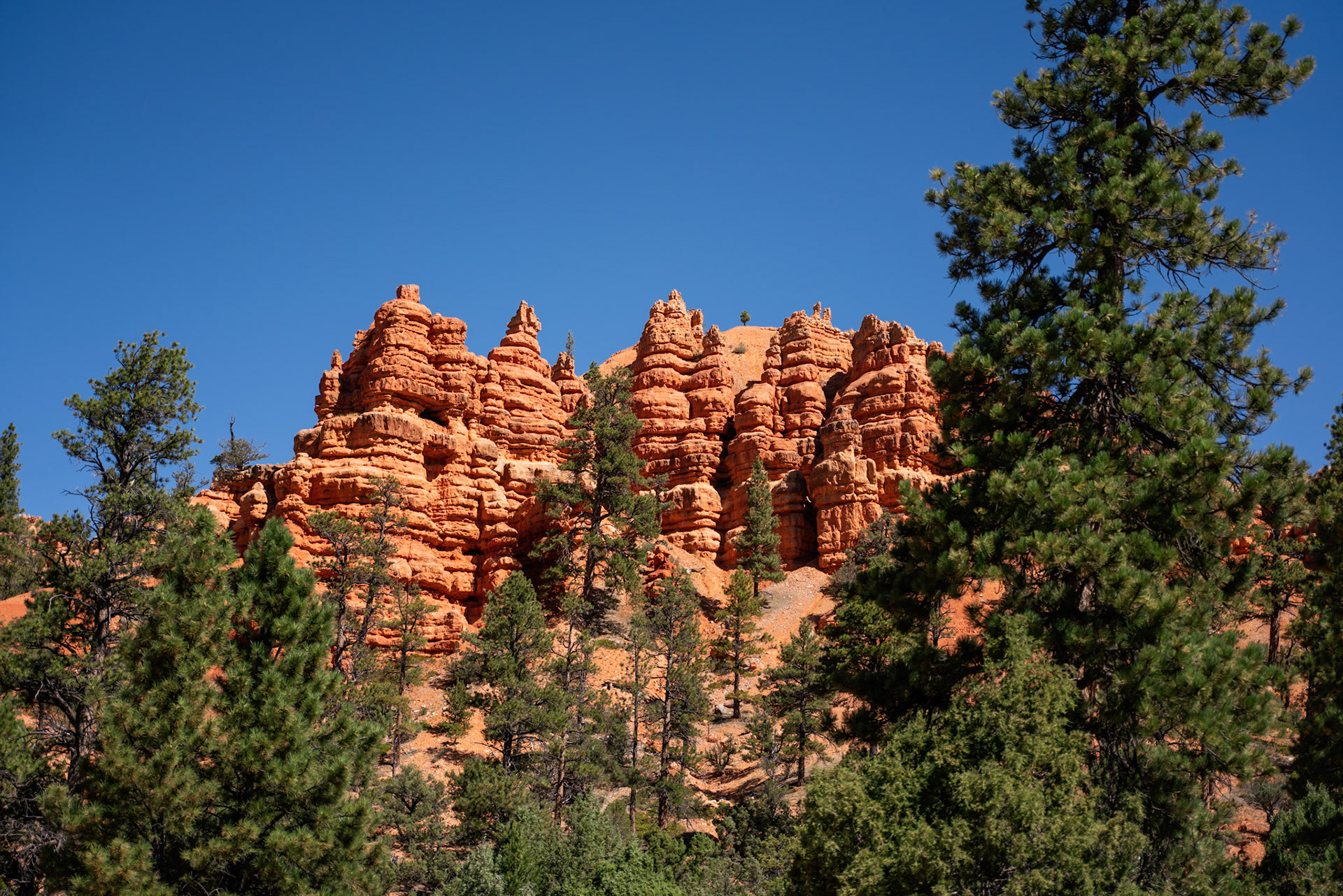 Bryce Canyon (UT)