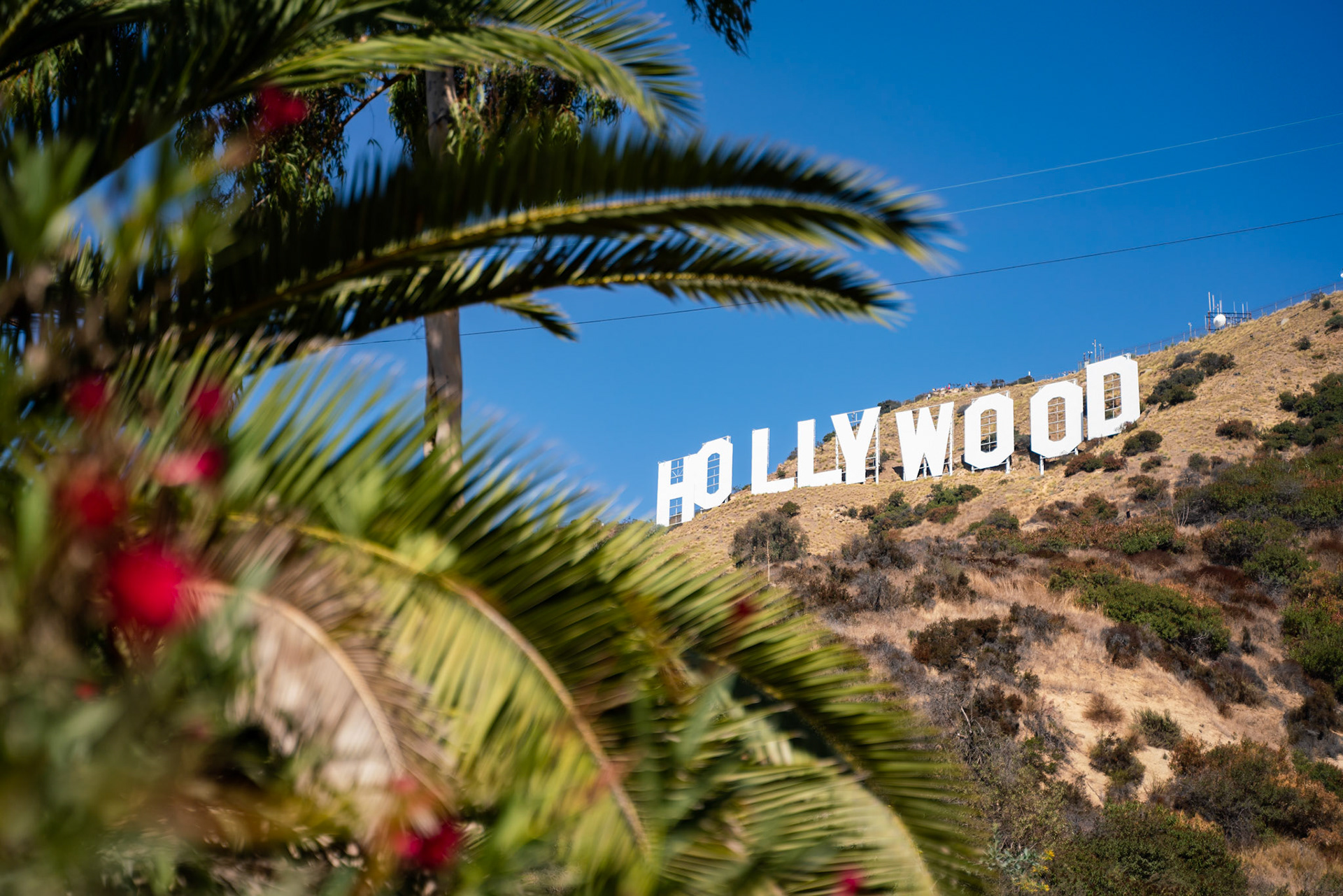 Hollywood Sign (LA)