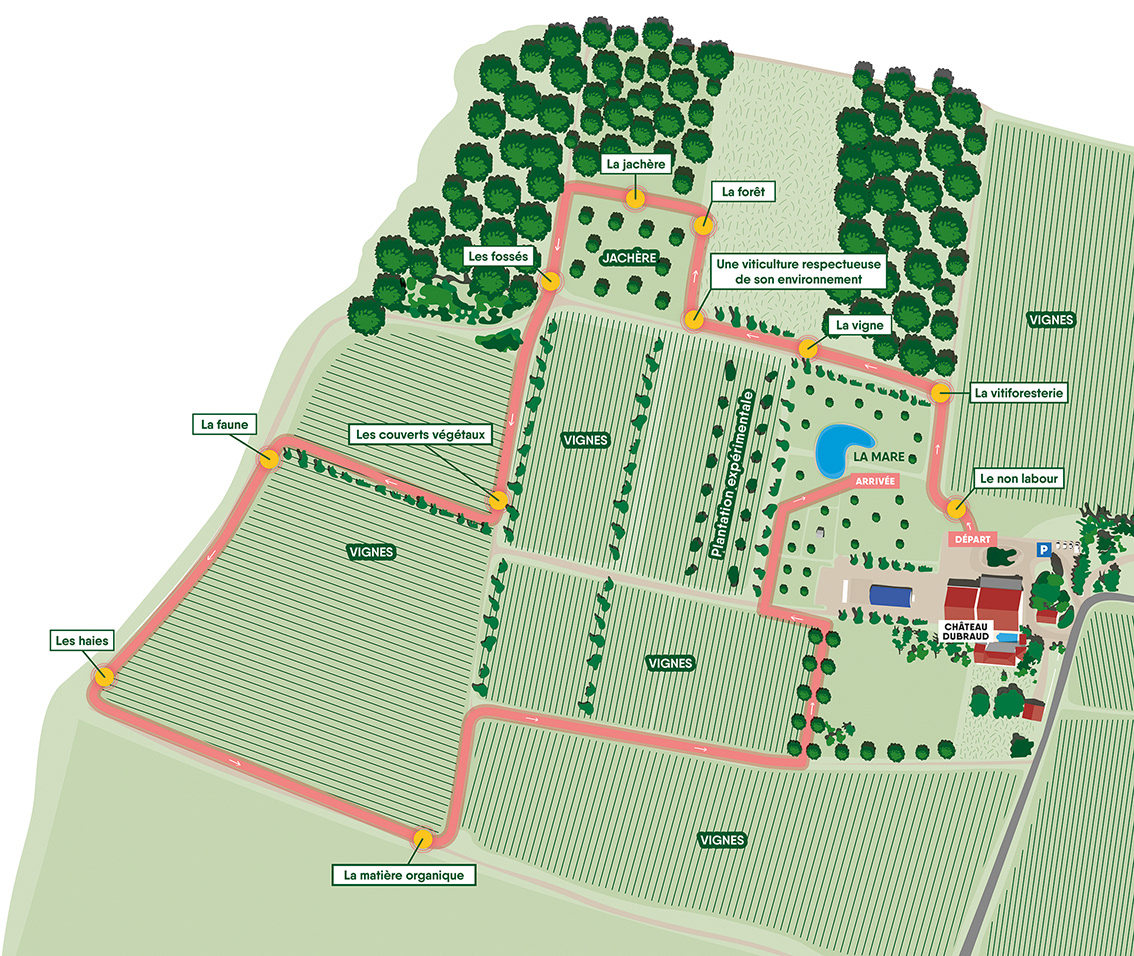 illustration d'un plan schématique pour parcours visite sur site