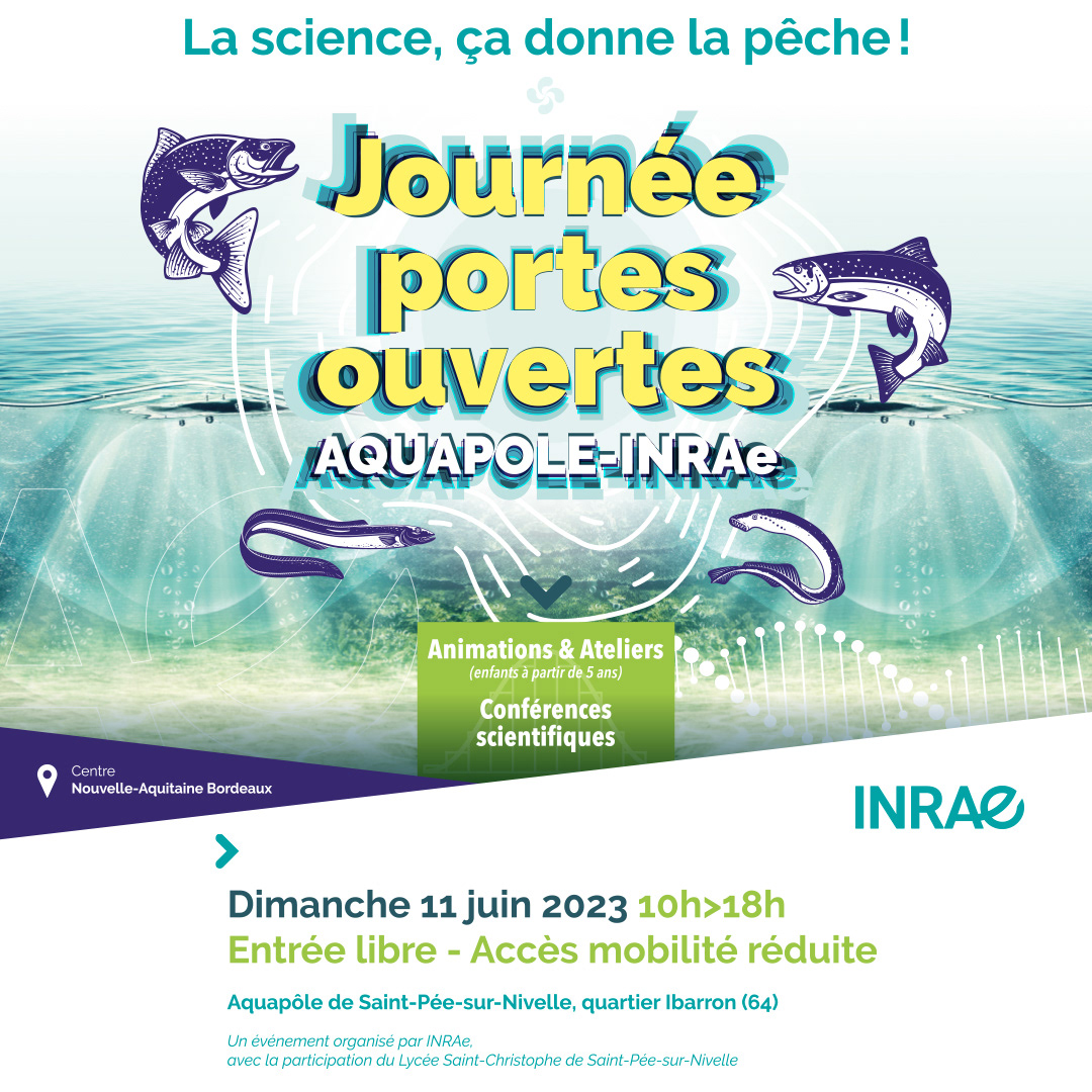 post pour réseau social twitter - 1080x1080 px