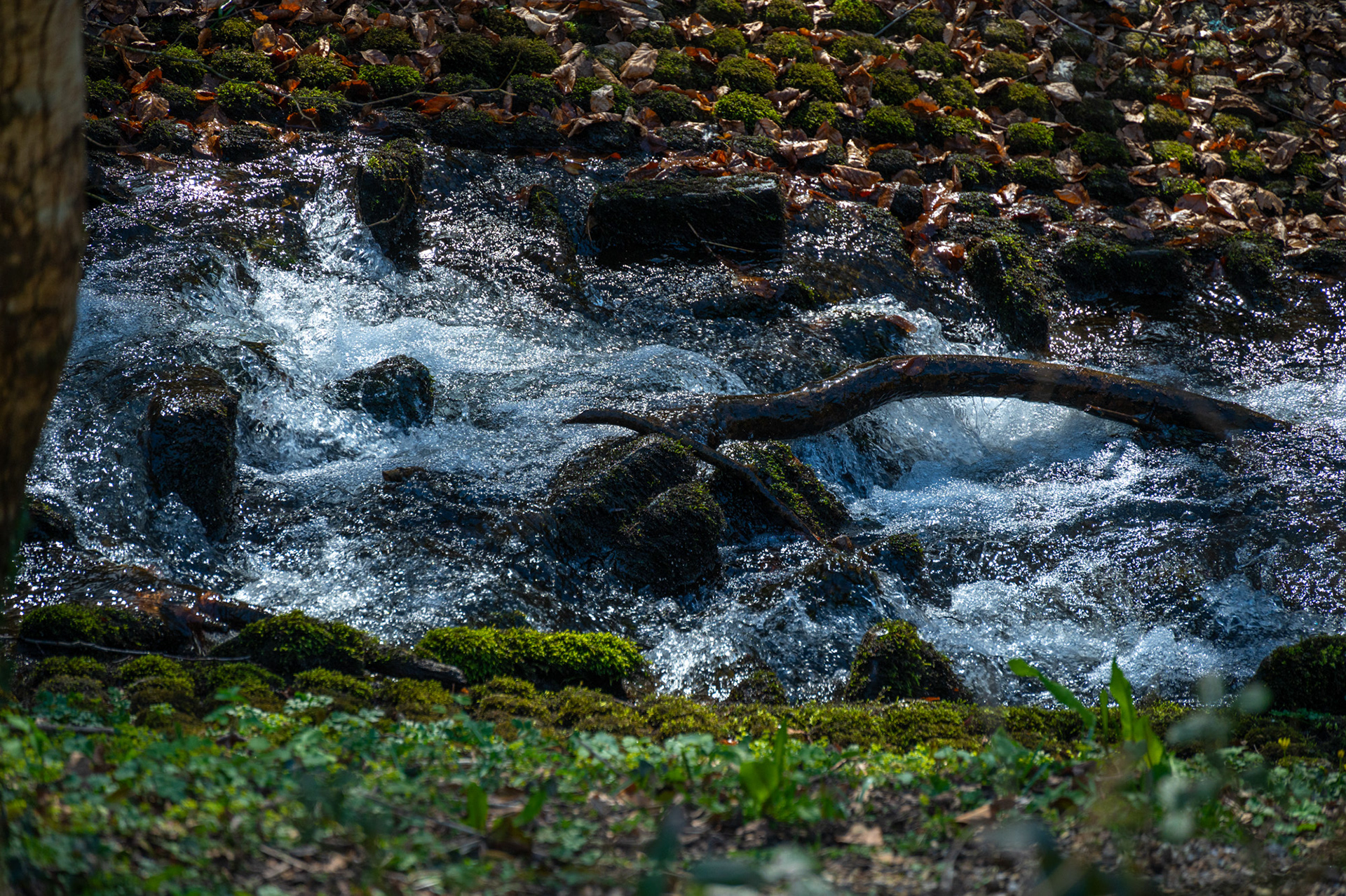 Cwmcarn Scenic Drive