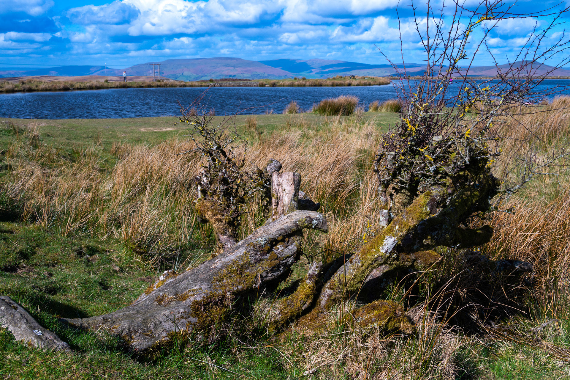 Keepers Pond, Blaenavon.