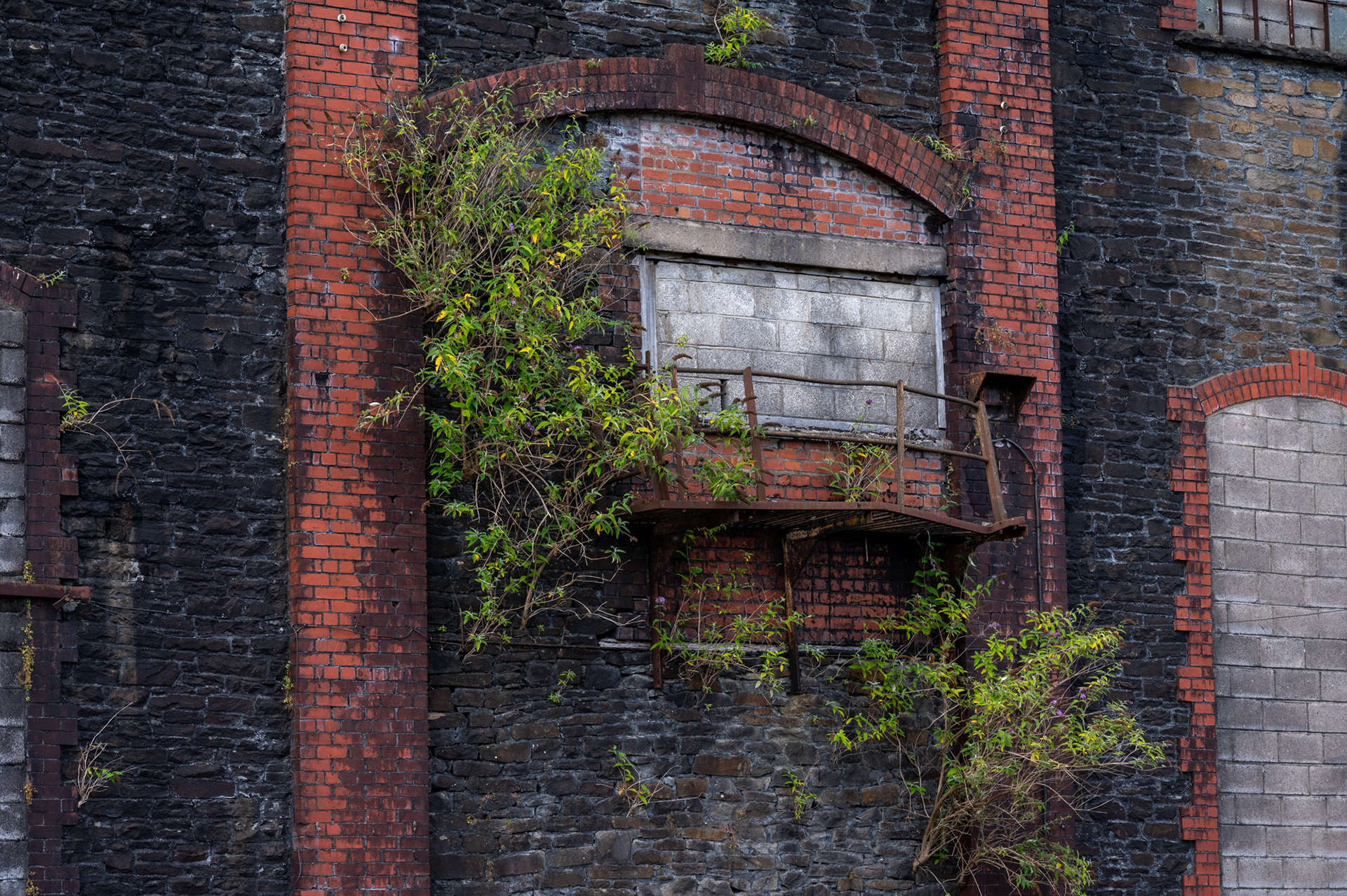The now derelict pithead gear and winding house at Penallta Colliery, Ystrad Mynach.