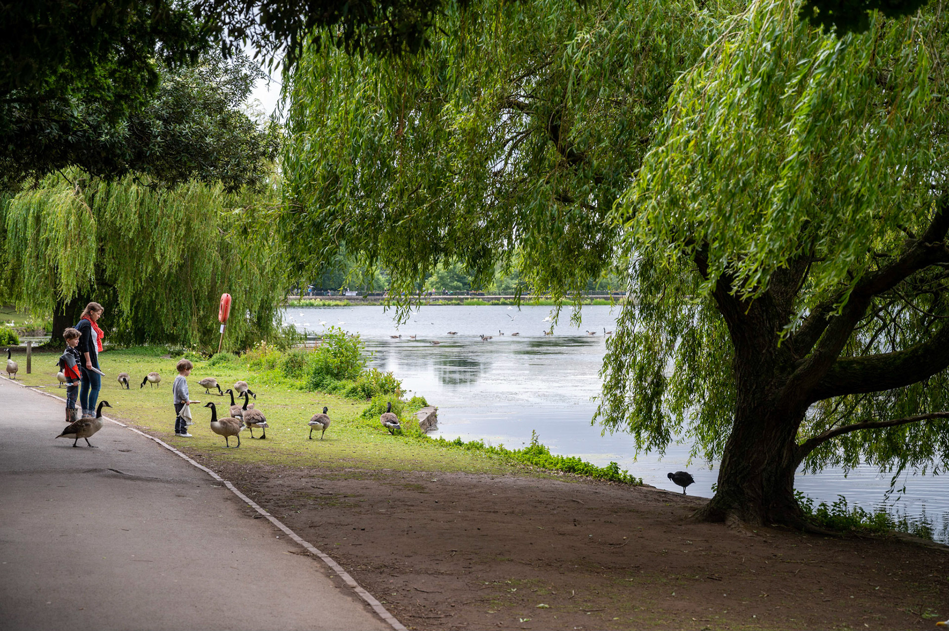 A stroll around Roath Park Lake, Cardiff.