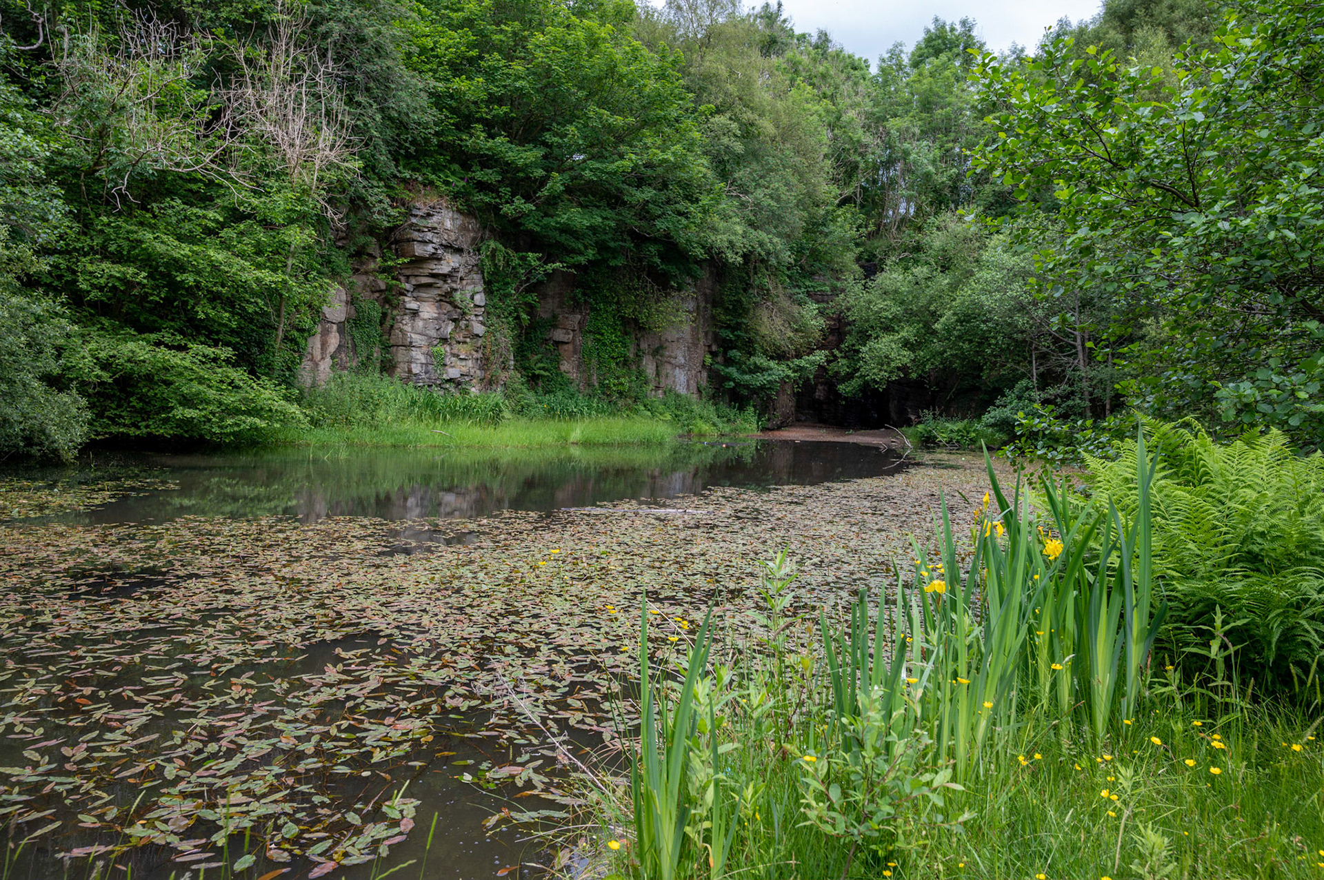 One of the lakes at Parc Cwm Darran, Deri,