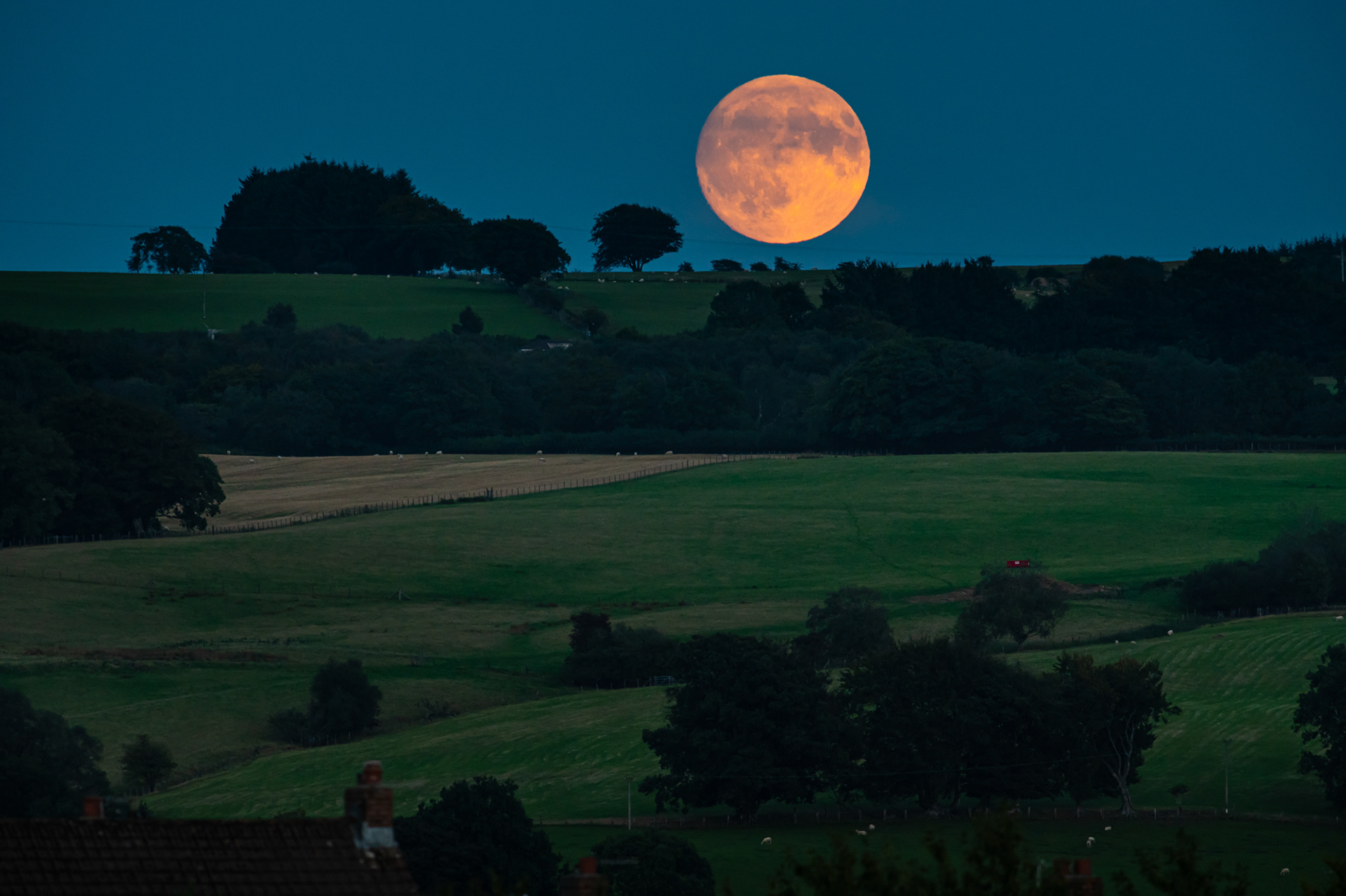 A full moon rises over Mynyddislwyn, South Wales, UK, 7/9/25