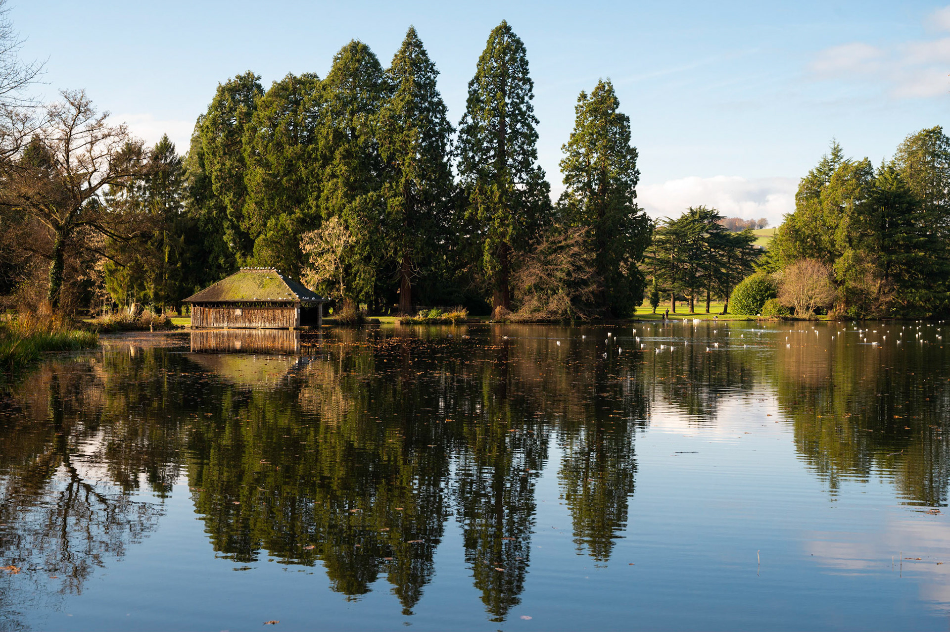Autumn at Tredegar House lake, Newport, South Wales.