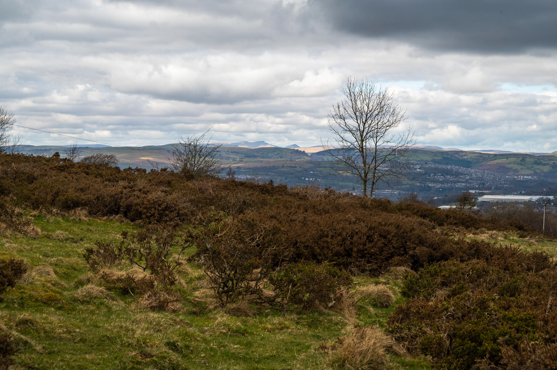 Today’s walk from home Mynydd Y Grug and back.
