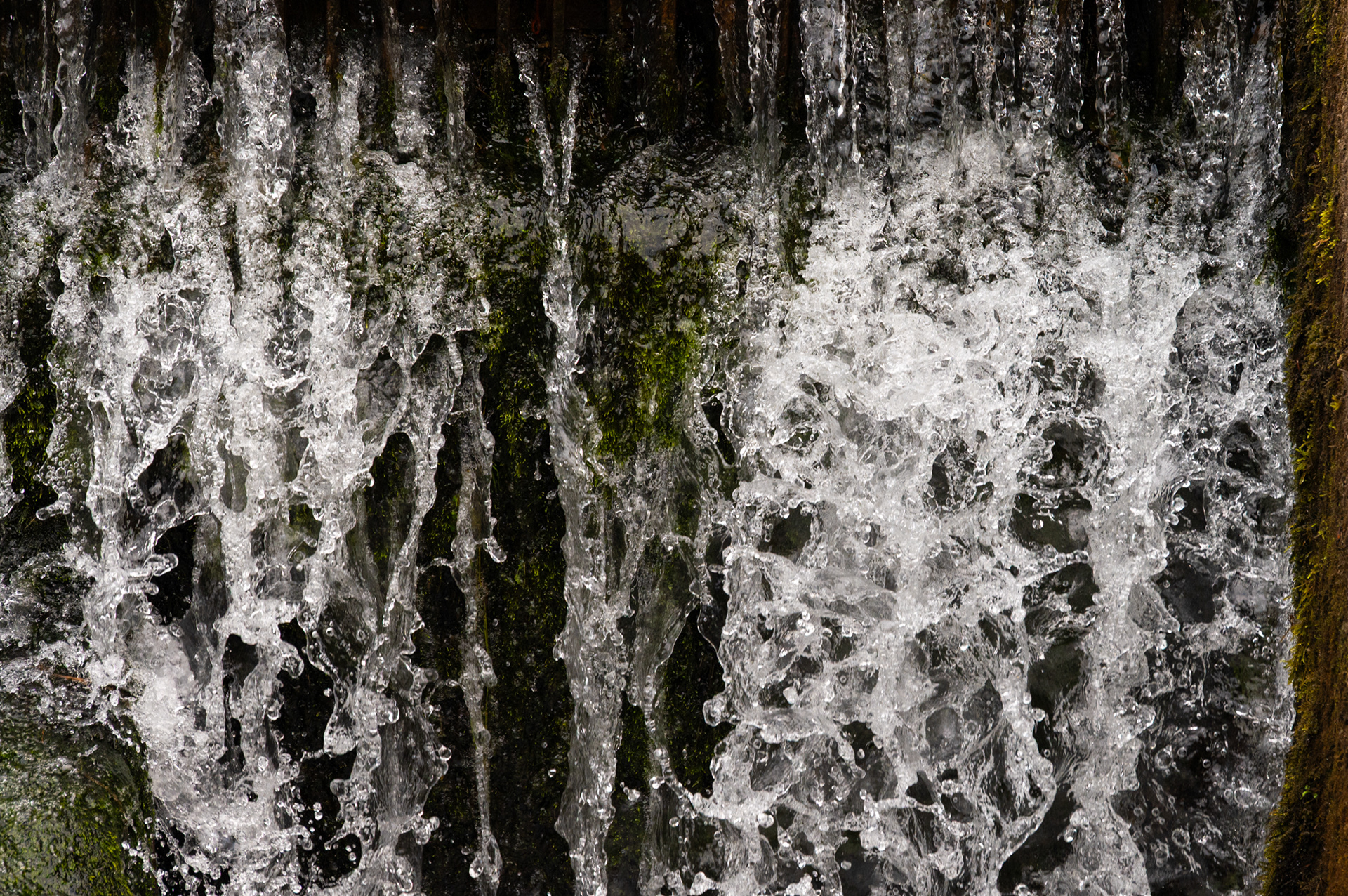 Cwmcarn Forest