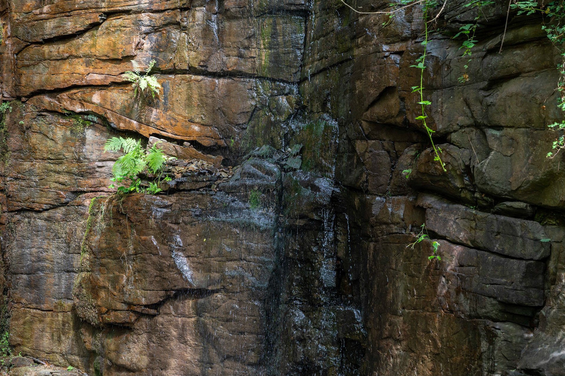 The waterfall at Parc Cwm Darran, Deri, South Wales.