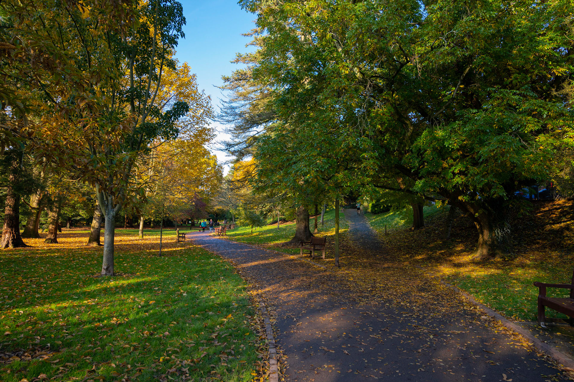 Autumn colours at Roath Park, Cardiff.