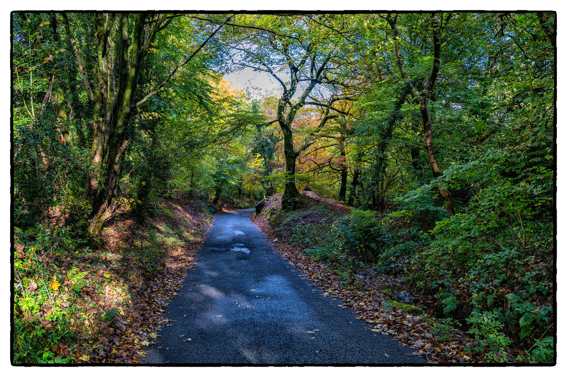 Autumn colours near Wylie, South Wales, UK