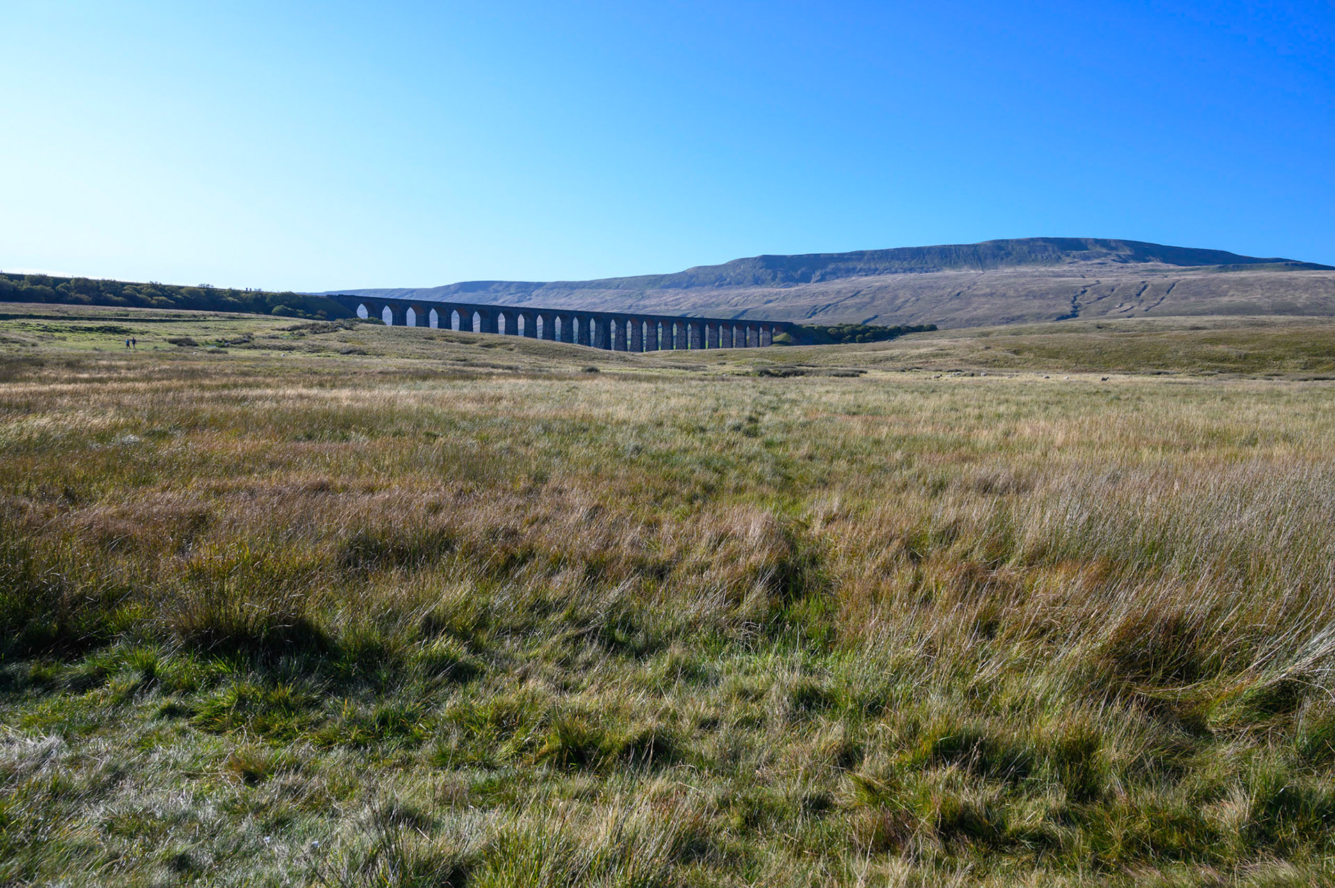 Ribblehead Viaduct on the Settle to Carlisle Railway Line, North Yorkshire.