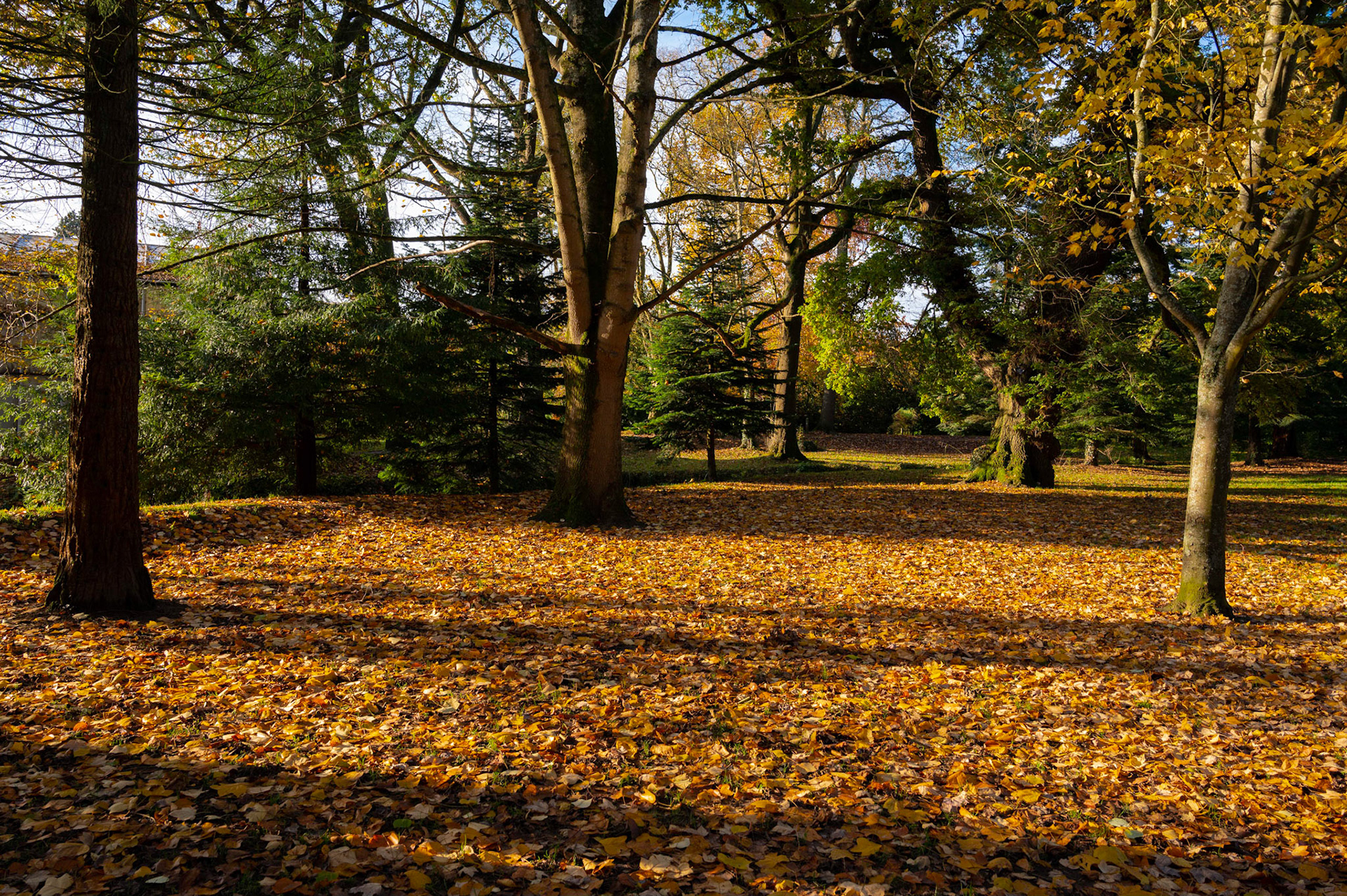 Autumn colours at Roath Park, Cardiff.