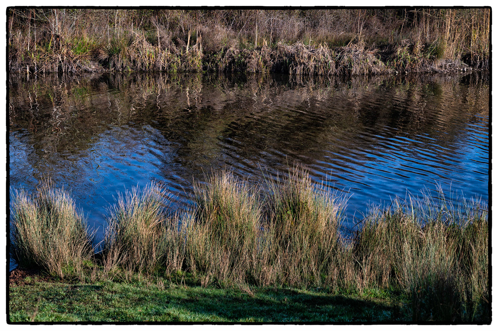 Autumn colours at Hendre Lake, St Mellons, Cardiff.
