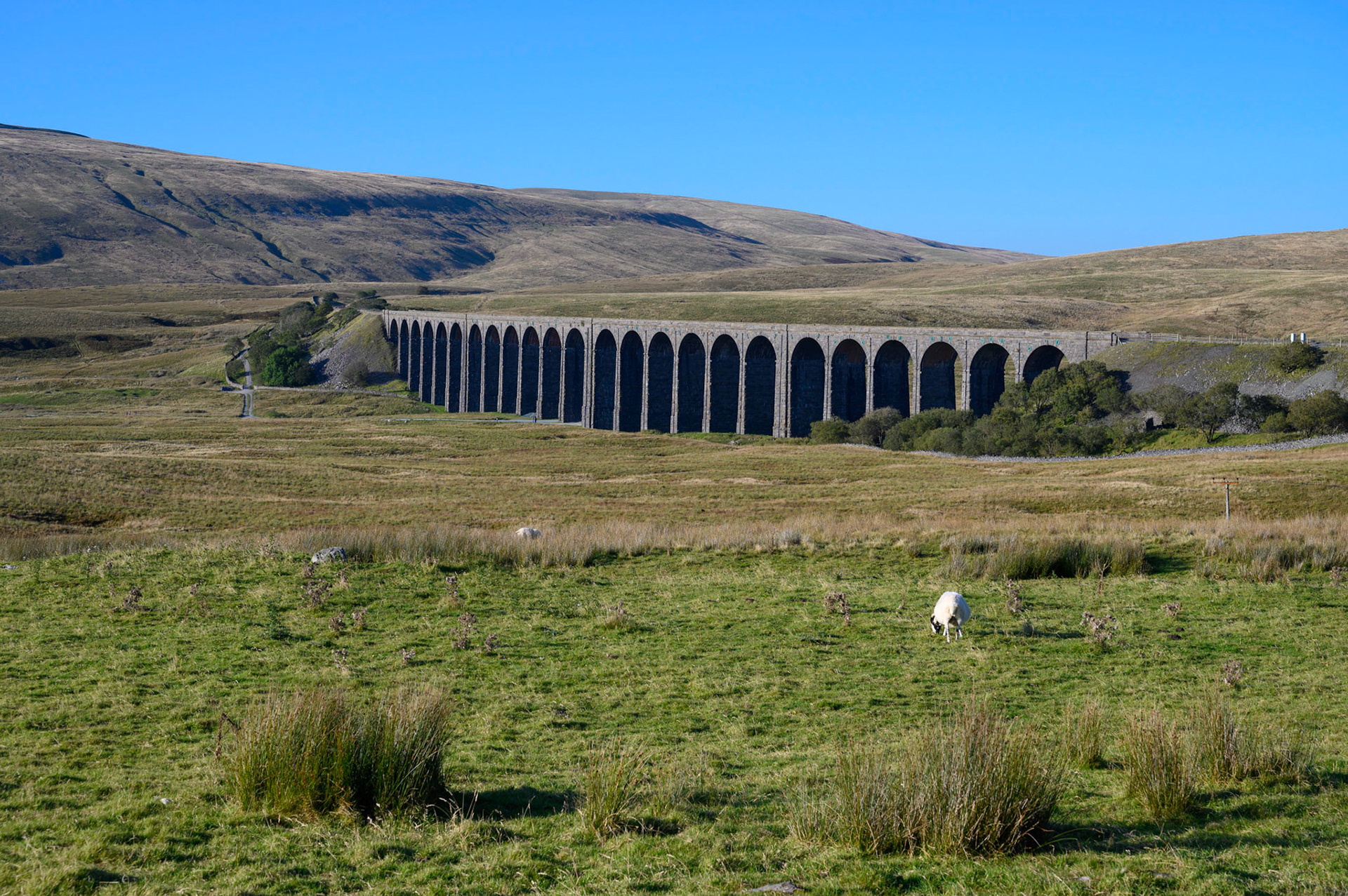 Ribblehead Viaduct on the Settle to Carlisle Railway Line, North Yorkshire.