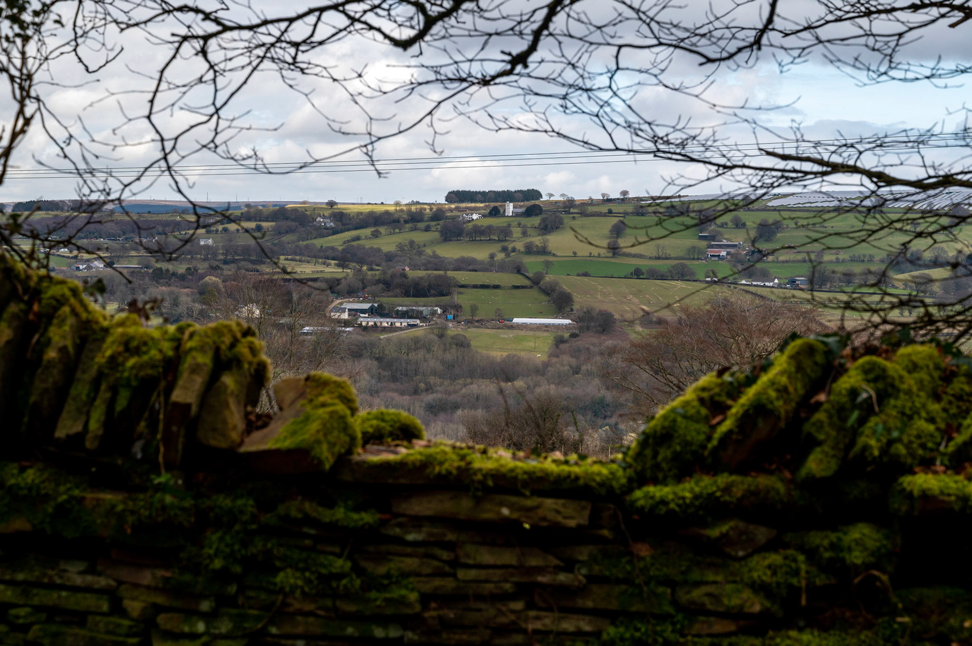 Today’s walk from home Mynydd Y Grug and back.