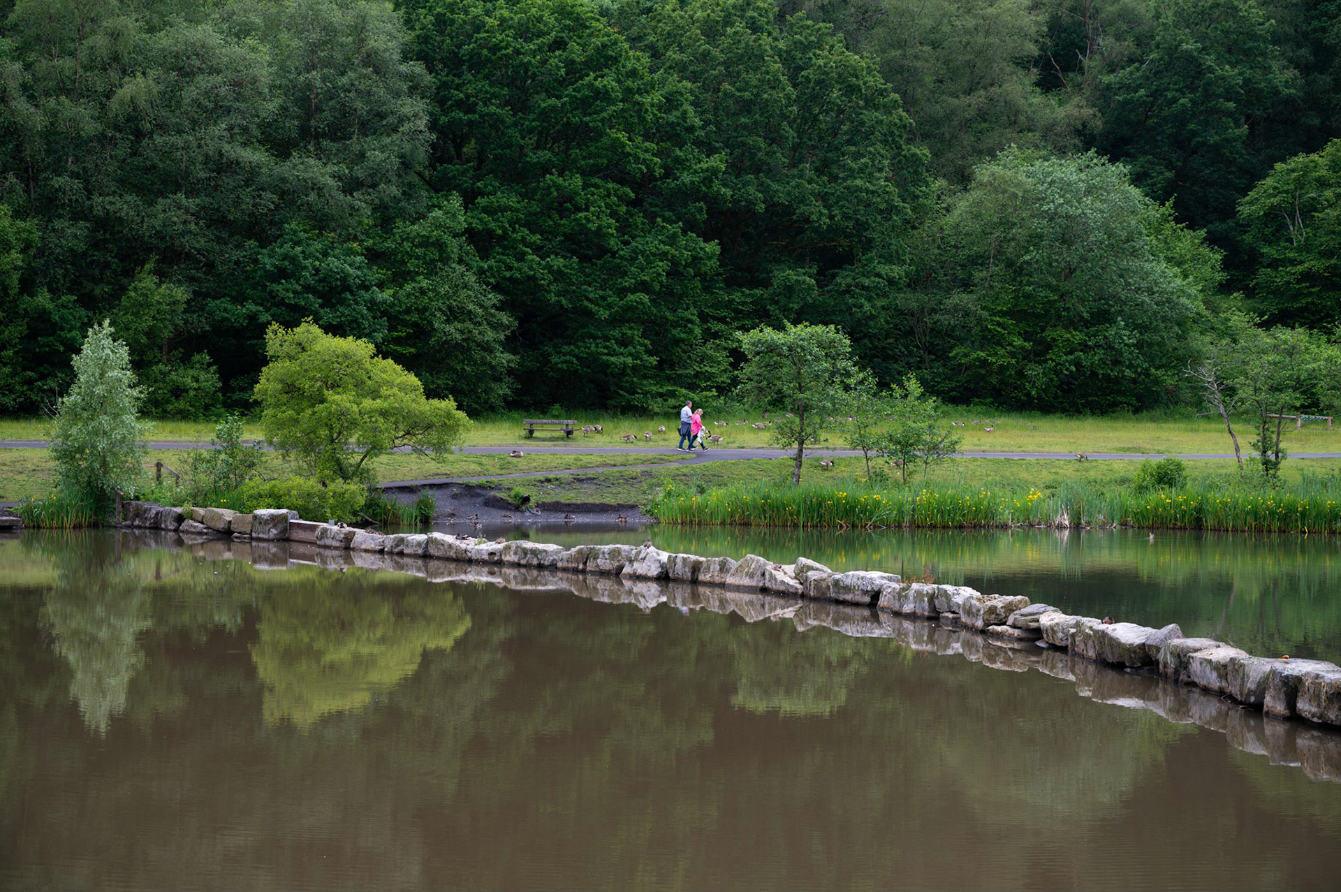 Reflections in the lake at Parc Cwm Darran, Deri,