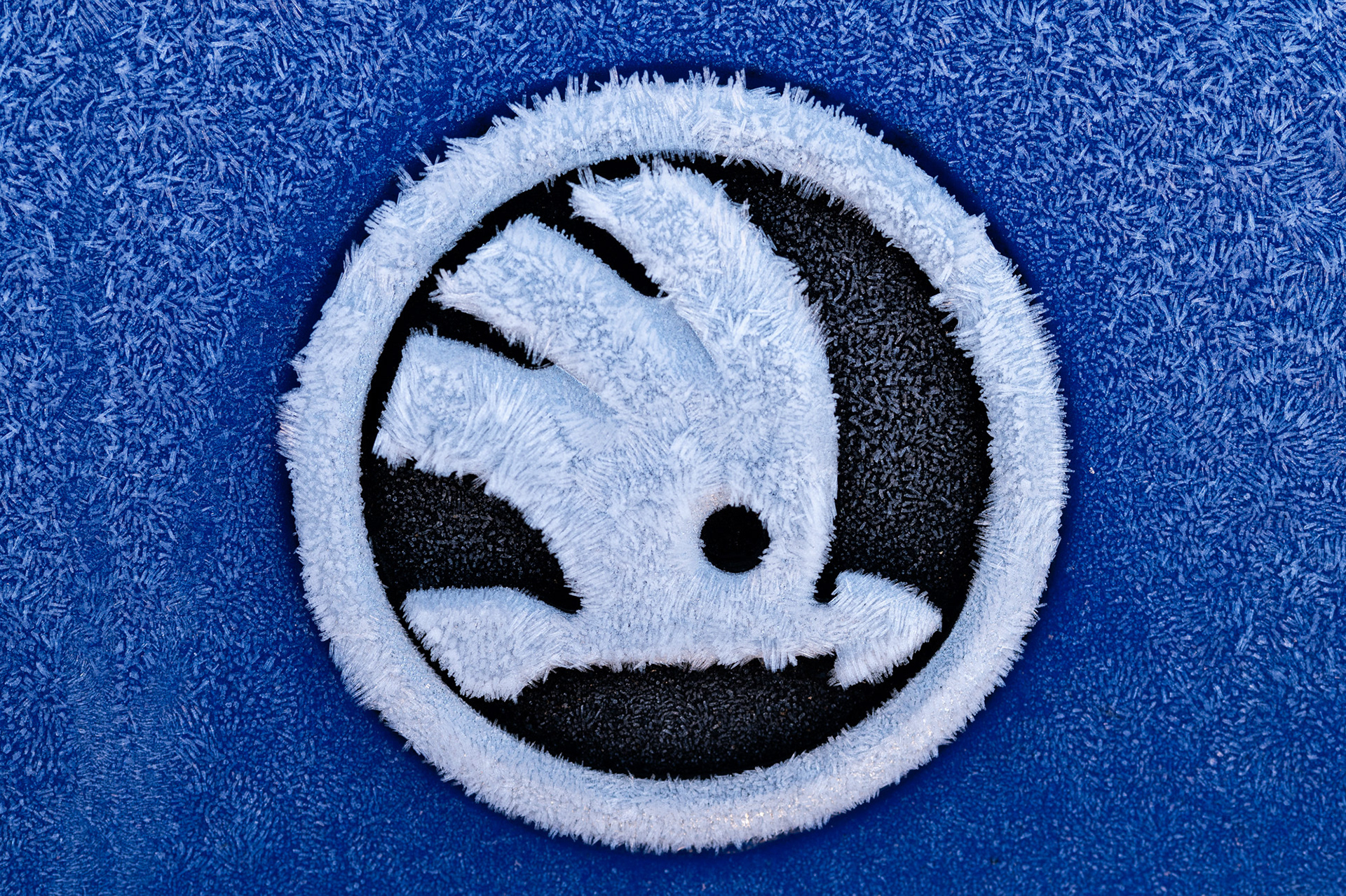 Skoda car badge covered in frost crystals 2/1/25