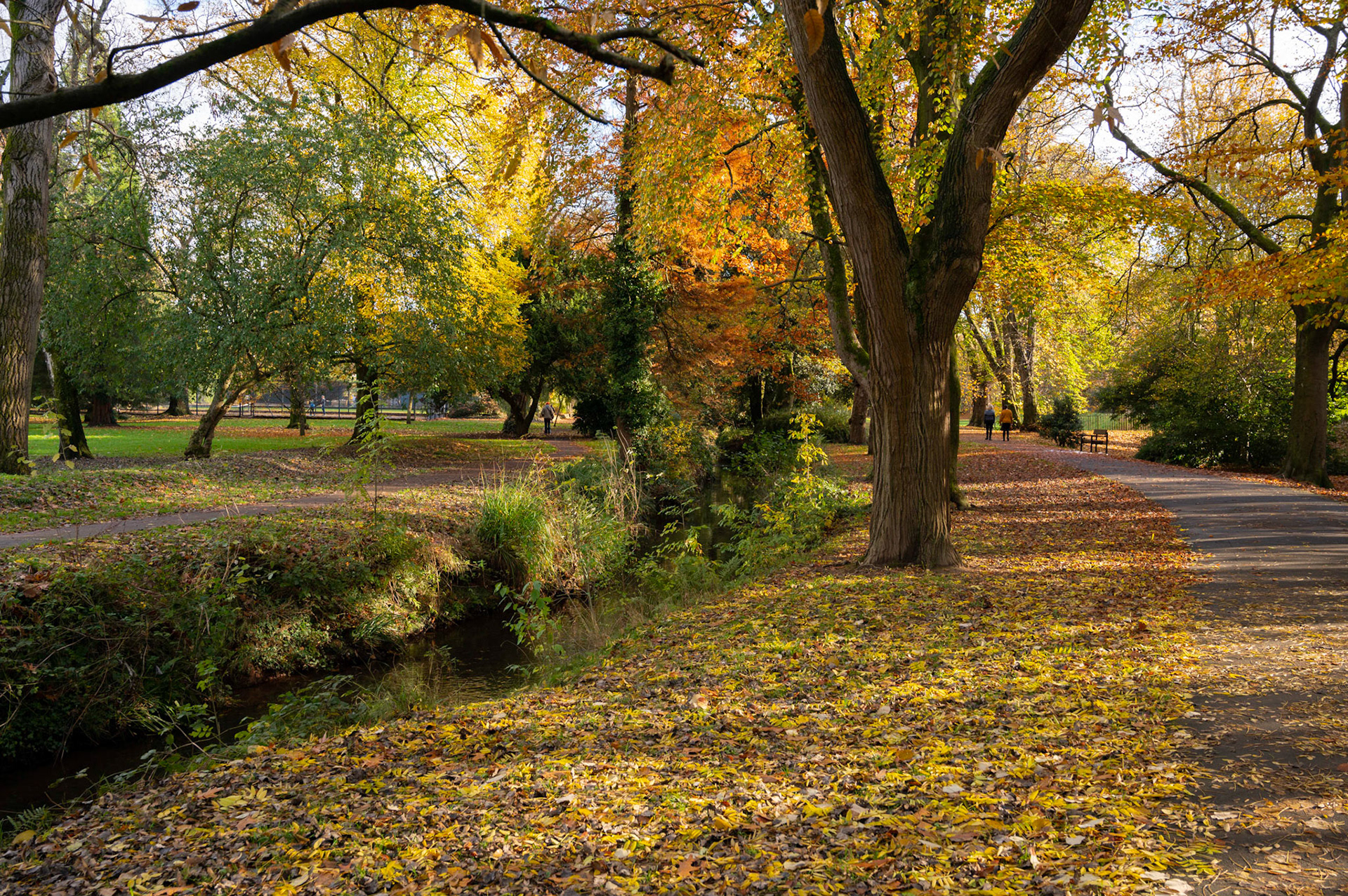 Autumn colours at Roath Park, Cardiff.