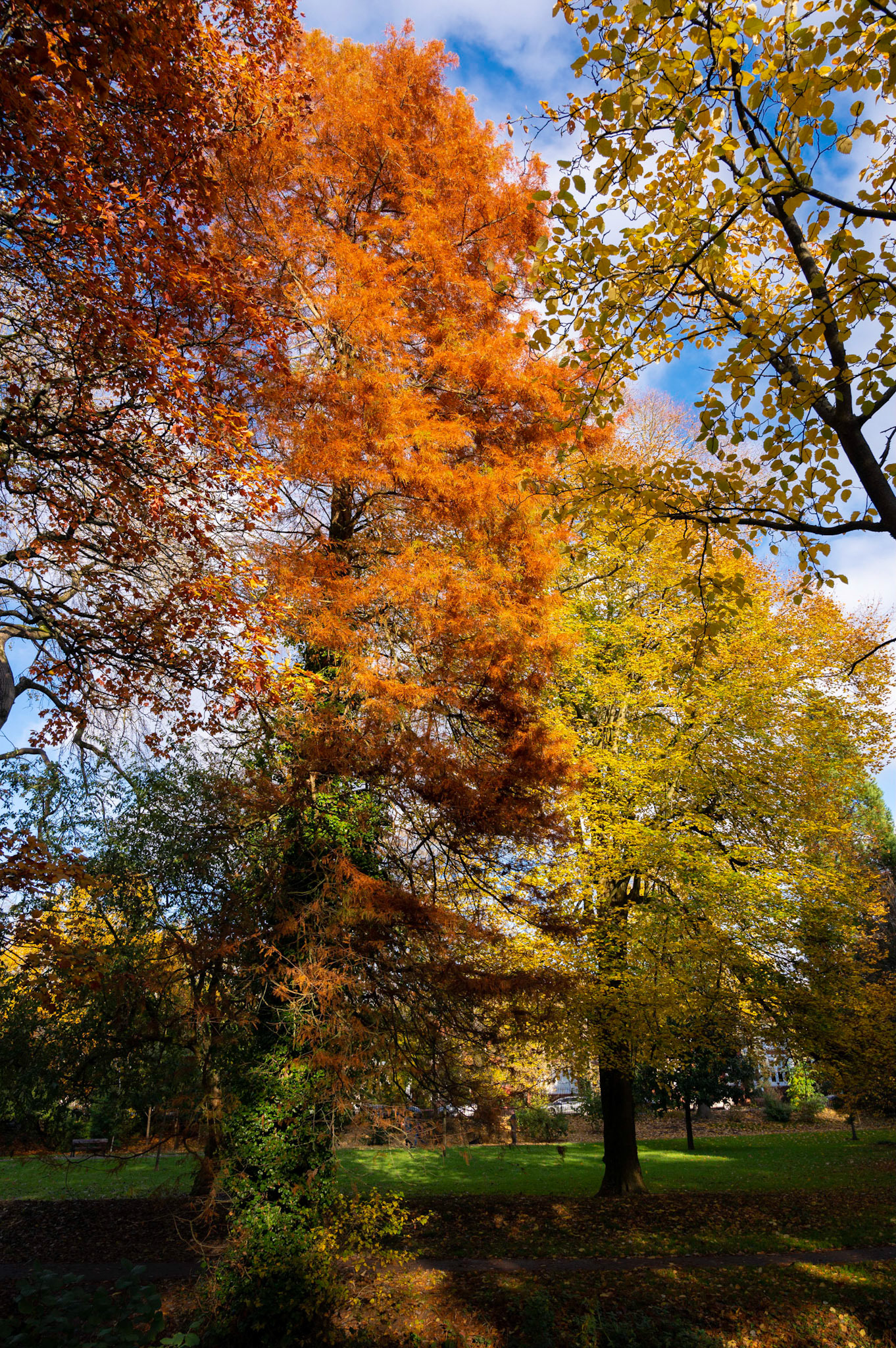 Autumn colours at Roath Park, Cardiff.