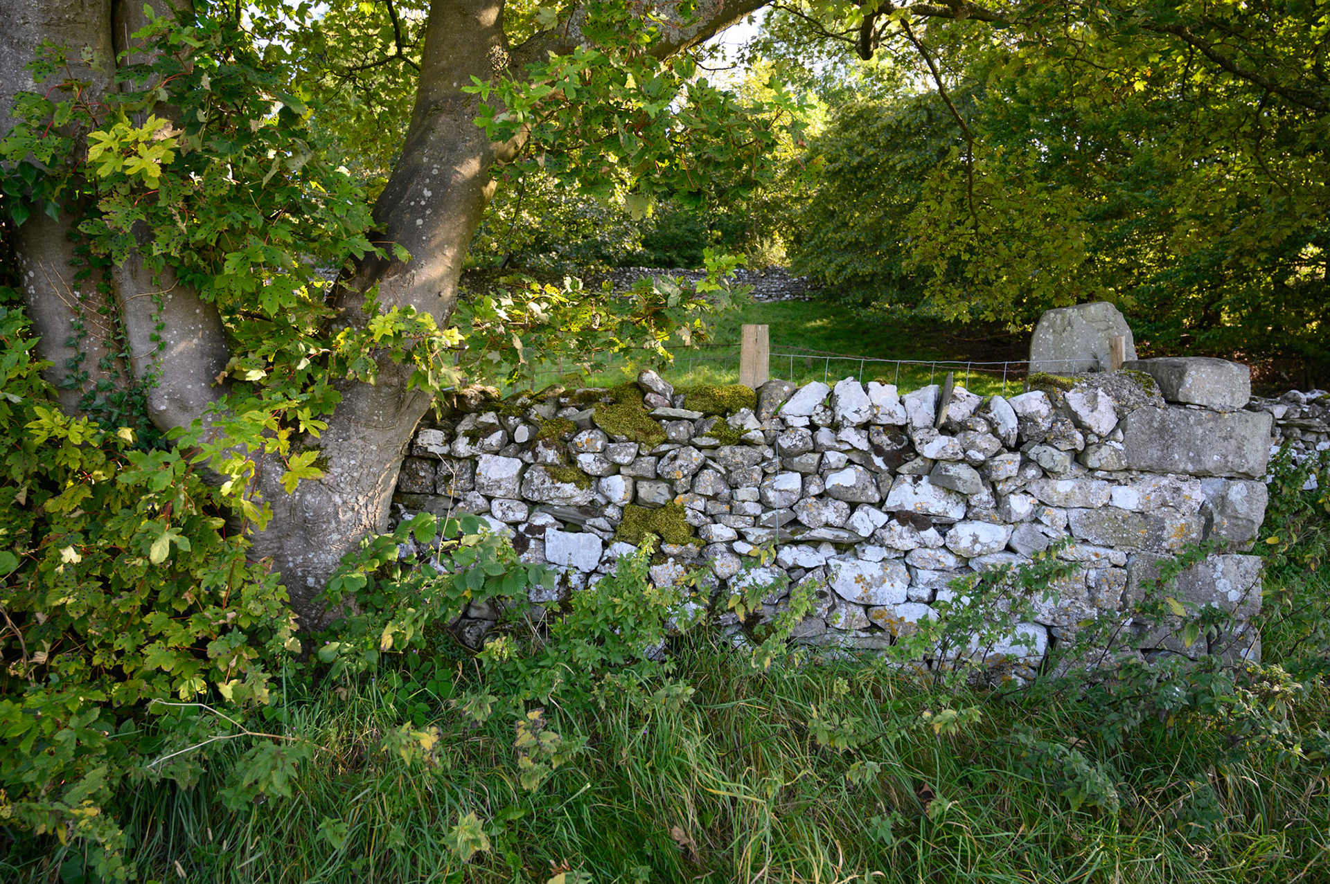 Stone walls on the high road between Settle and Langcliffe, North Yorkshire