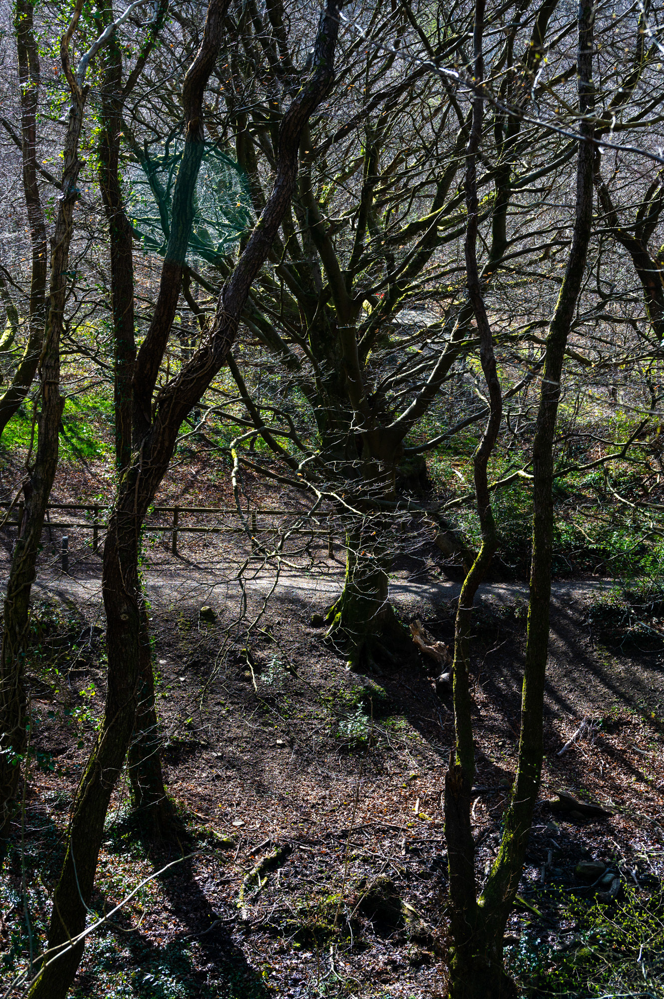 Cwmcarn Scenic Drive