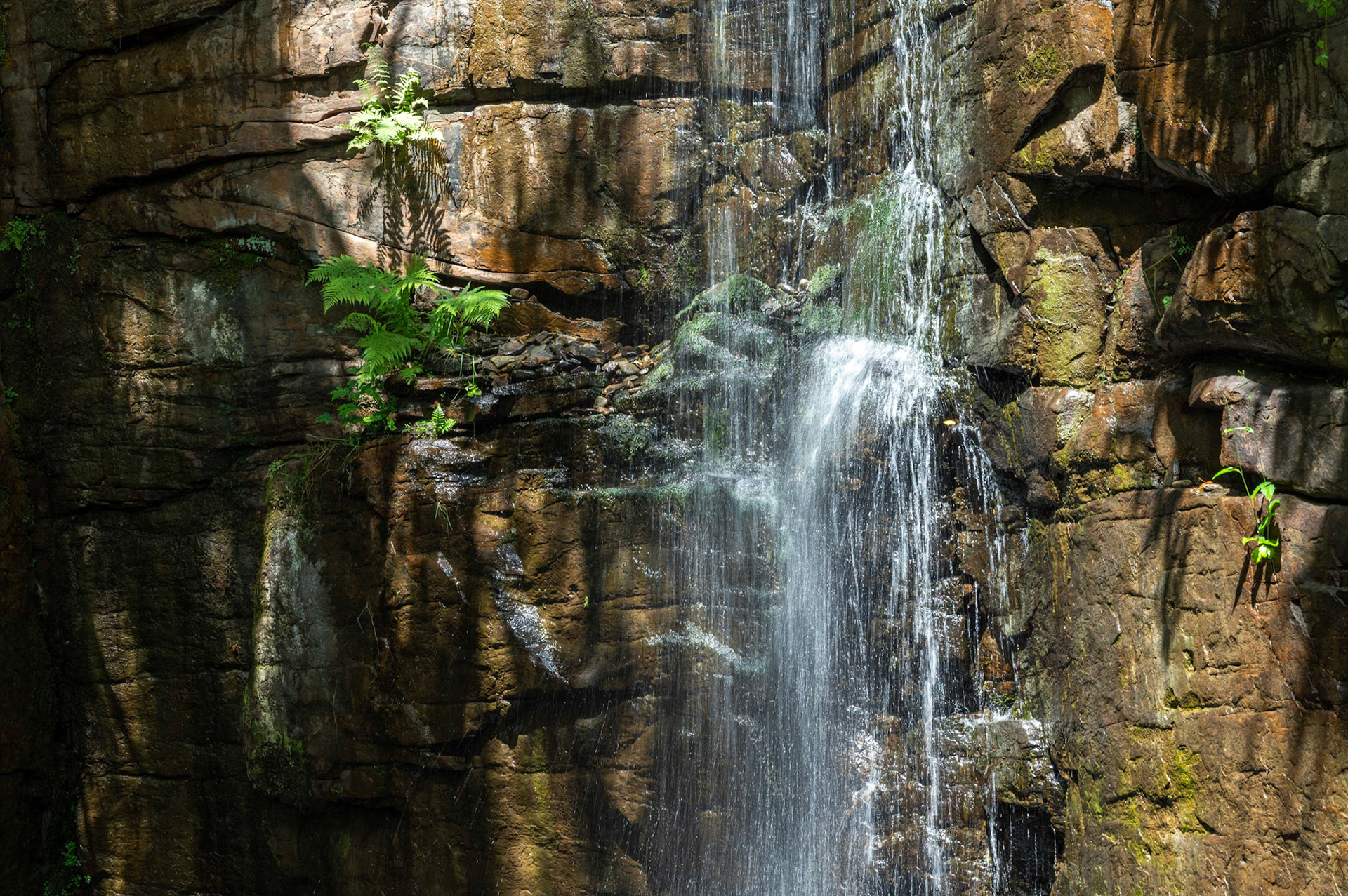 The waterfall at Parc Cwm Darran, Deri, South Wales.