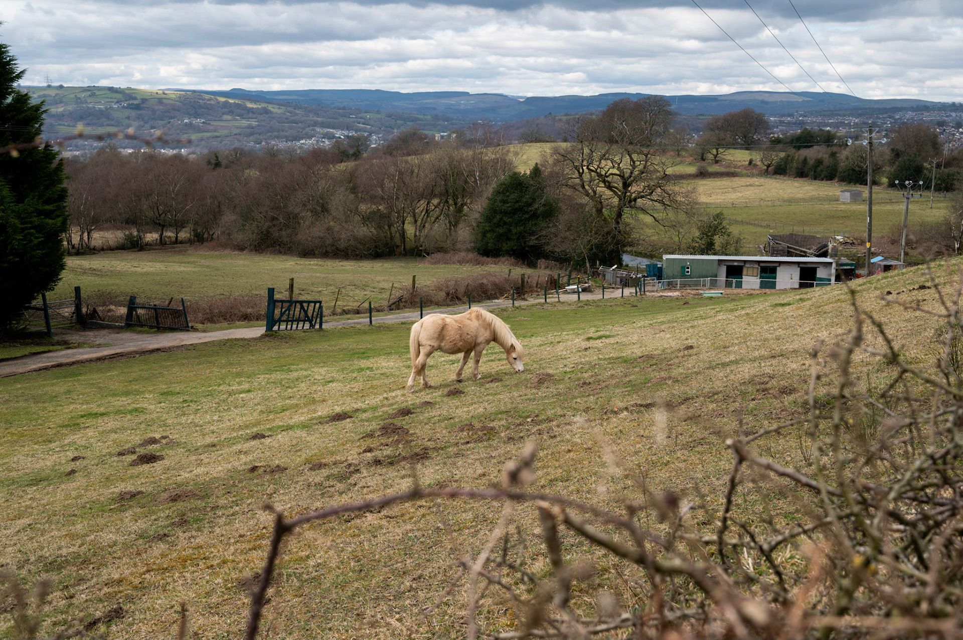 Today’s walk from home Mynydd Y Grug and back.
