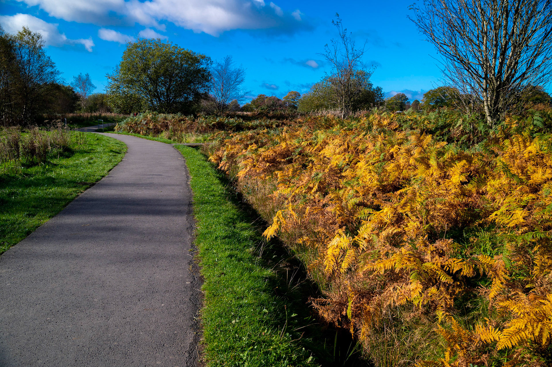 Autumn colours at Penyfan Pond, South Wales, UK